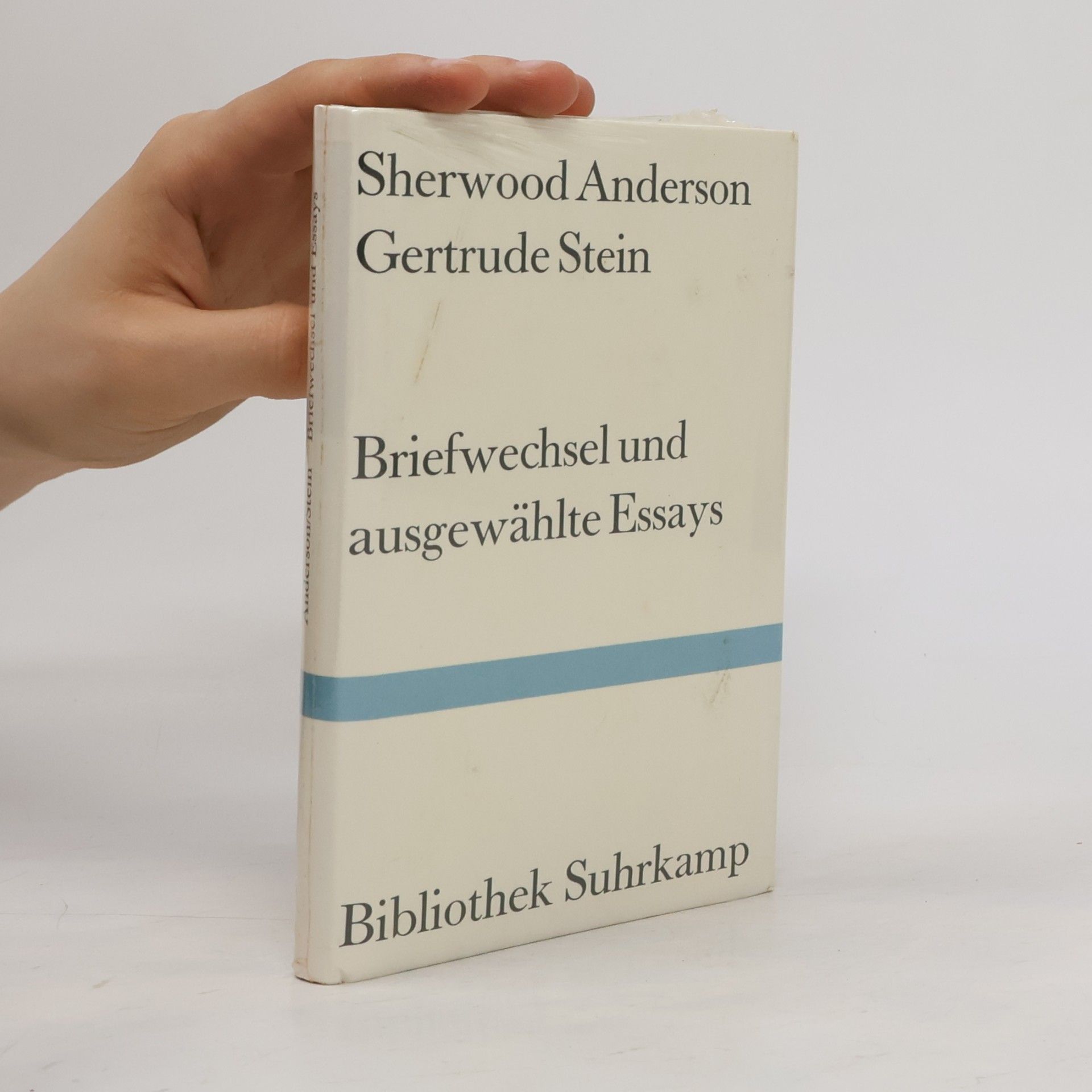 Sherwood Anderson Briefwechsel und ausgewählte Essays