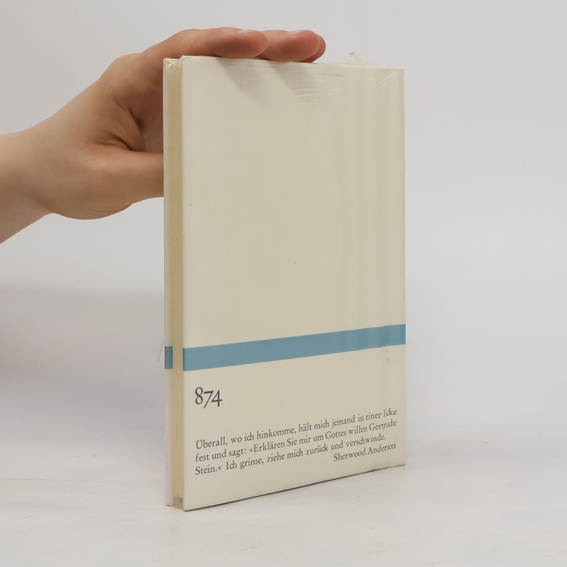 Sherwood Anderson Briefwechsel und ausgewählte Essays