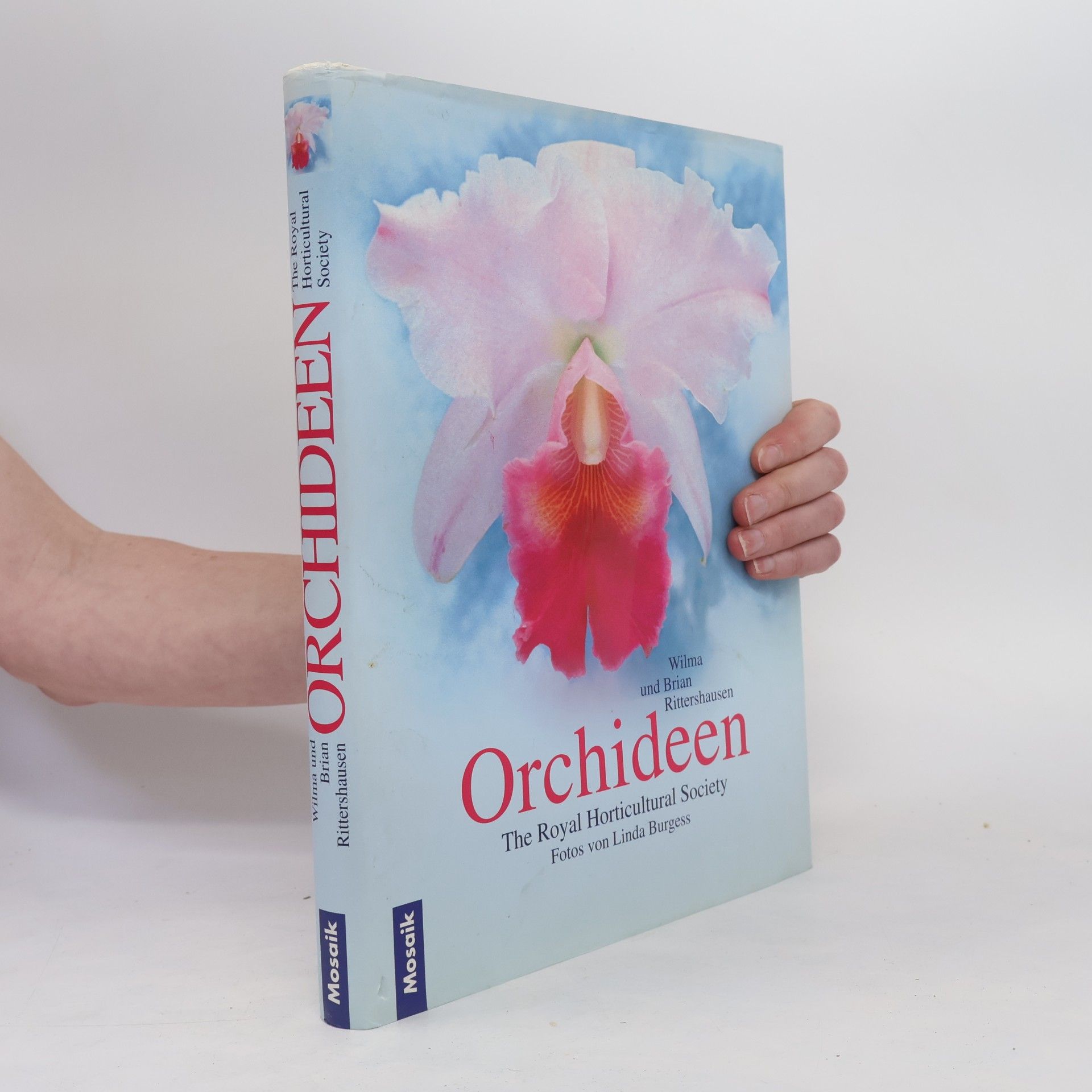 Wilma Rittershausen Orchideen