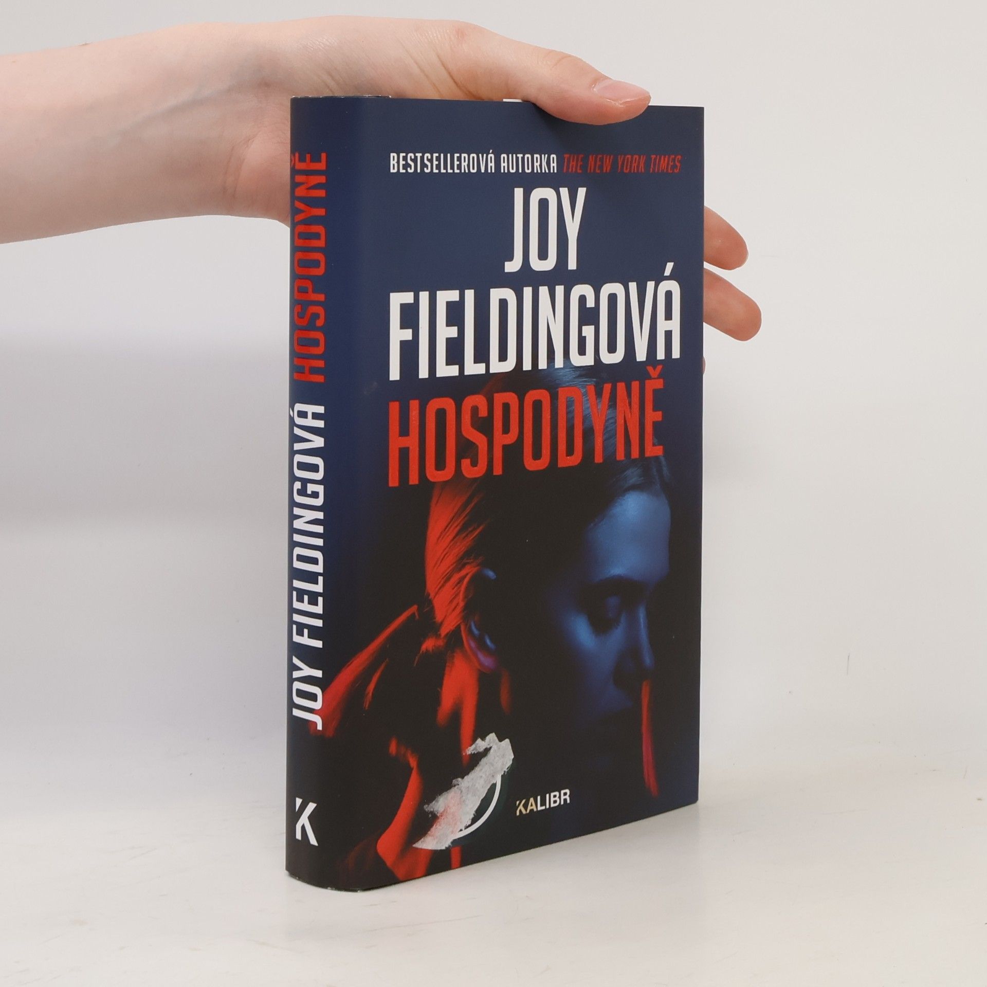 Joy Fielding Hospodyně