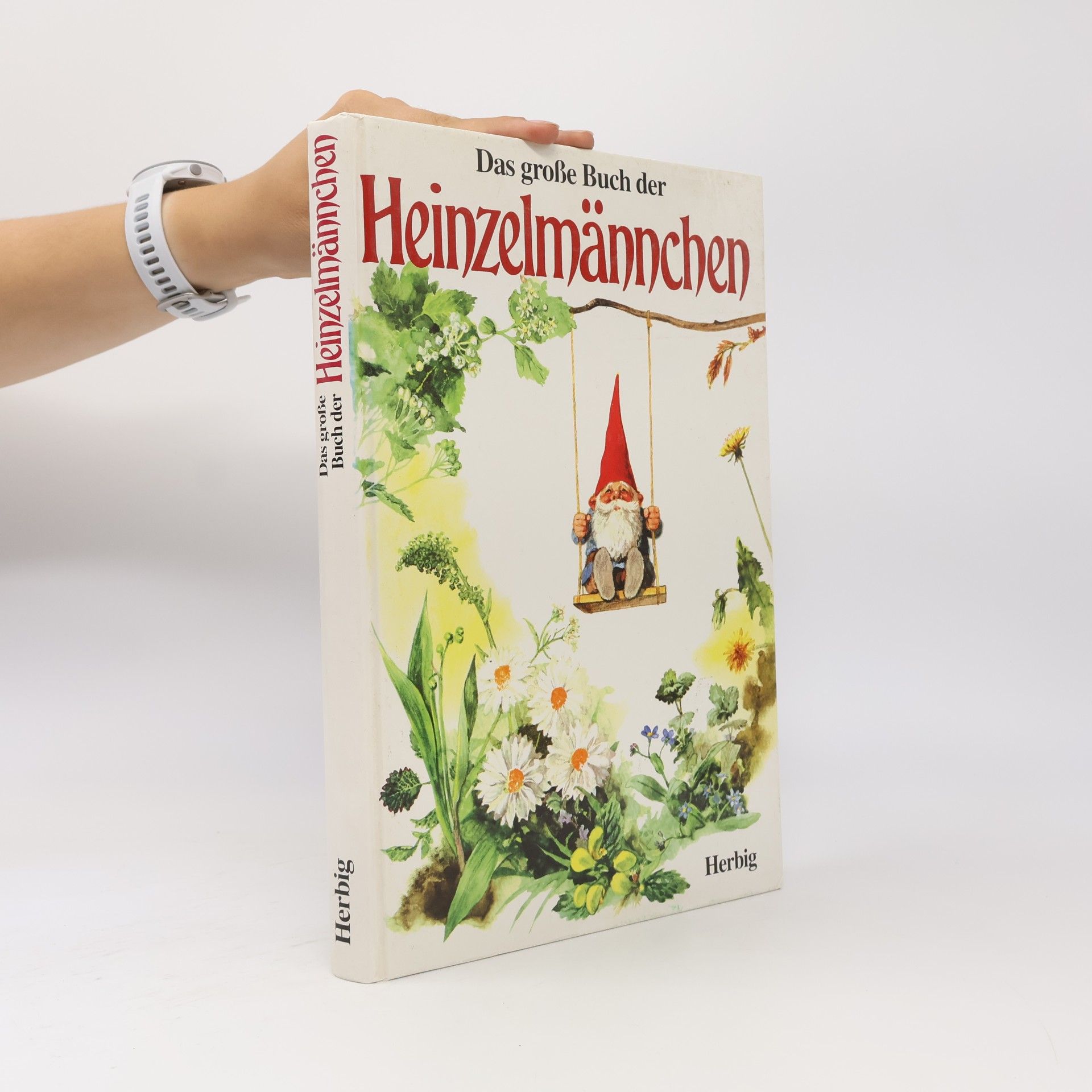 Wil Huygen Das grosse Buch der Heinzelmännchen