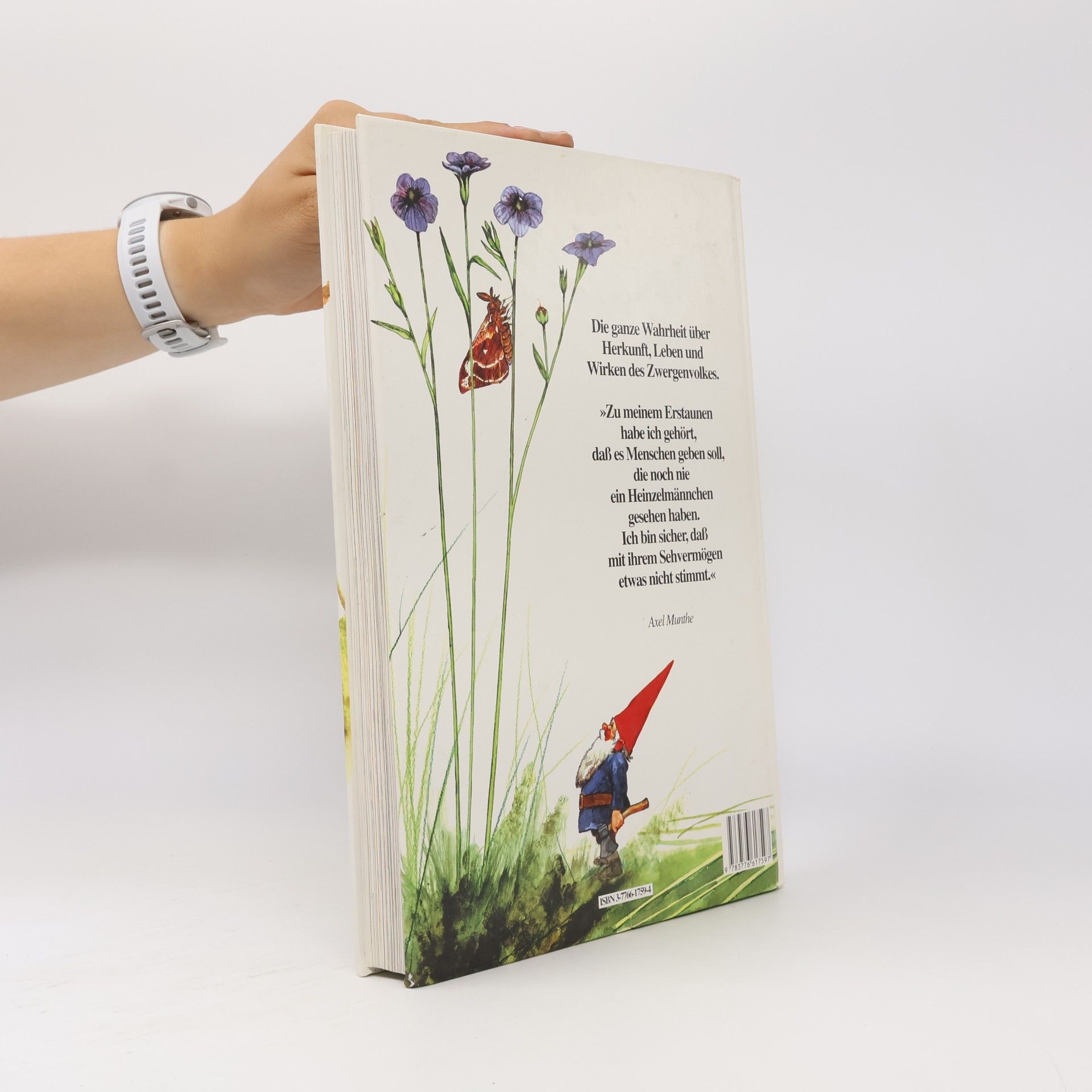 Wil Huygen Das grosse Buch der Heinzelmännchen