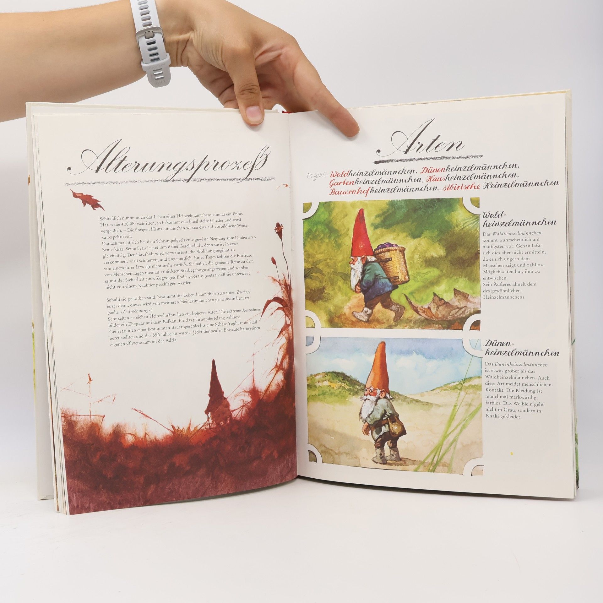 Wil Huygen Das grosse Buch der Heinzelmännchen