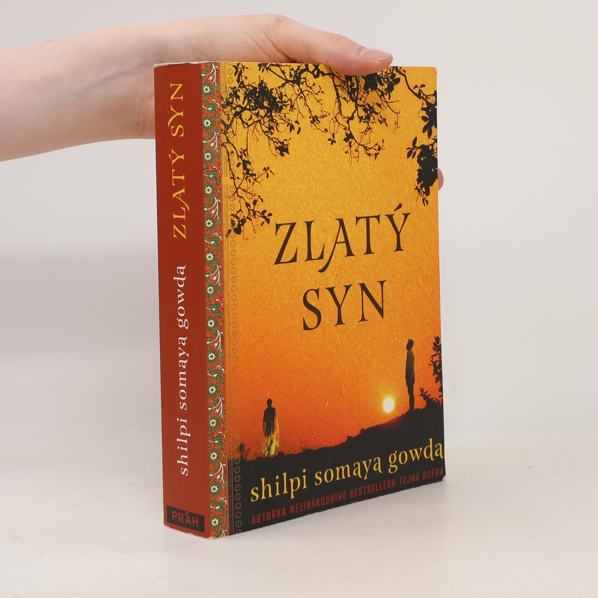 Shilpi Somaya Gowda Zlatý syn