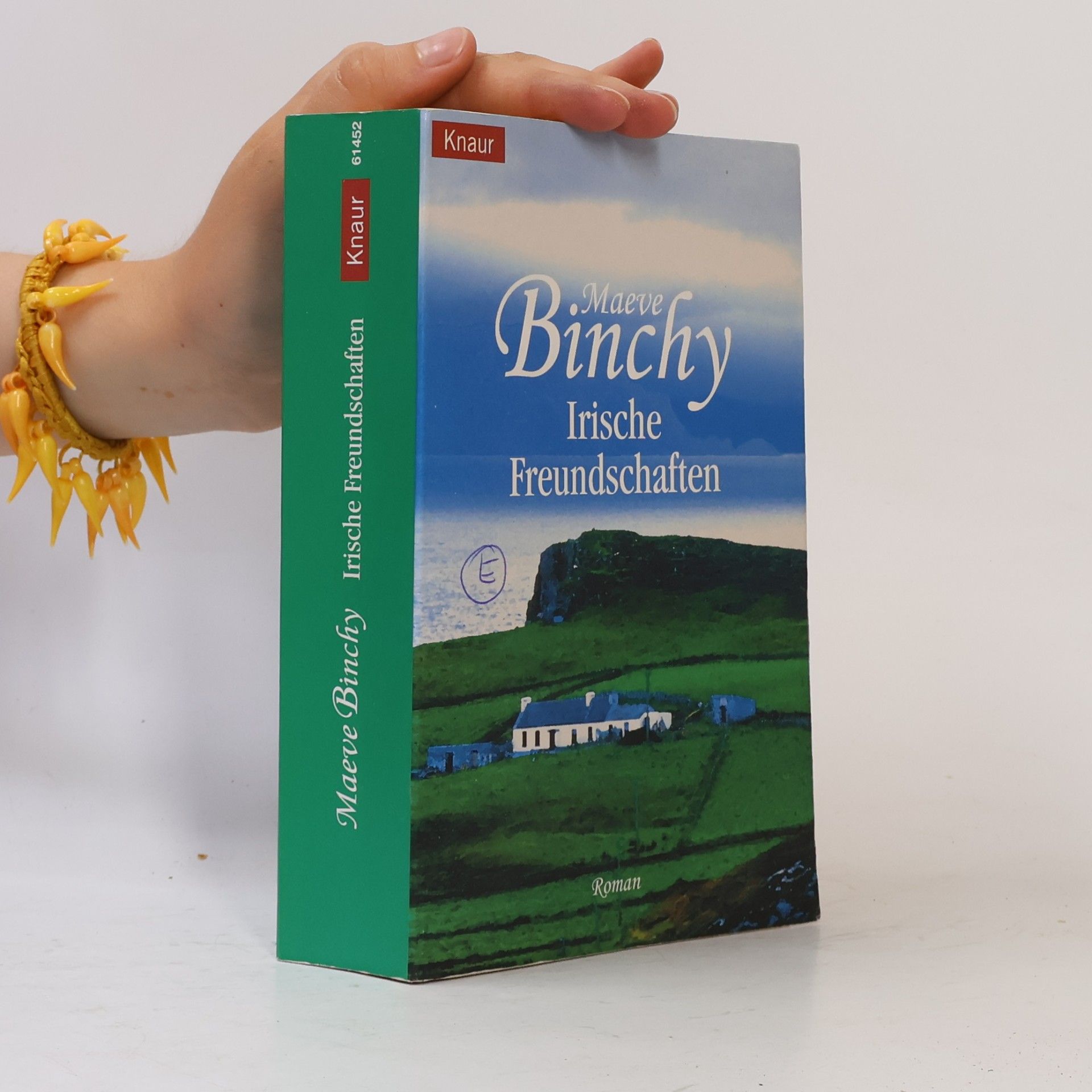 Maeve Binchy Irische Freundschaften