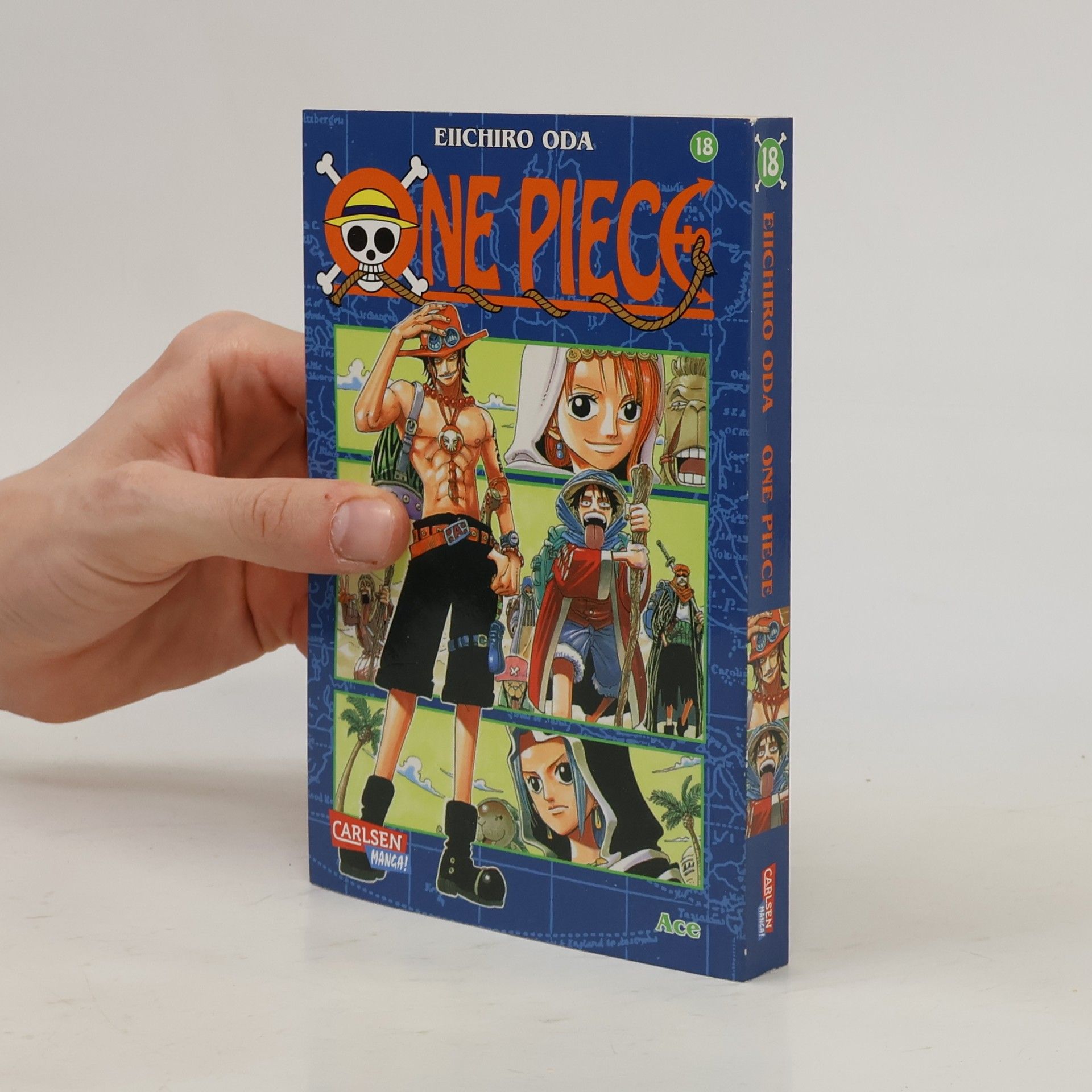 One piece 18