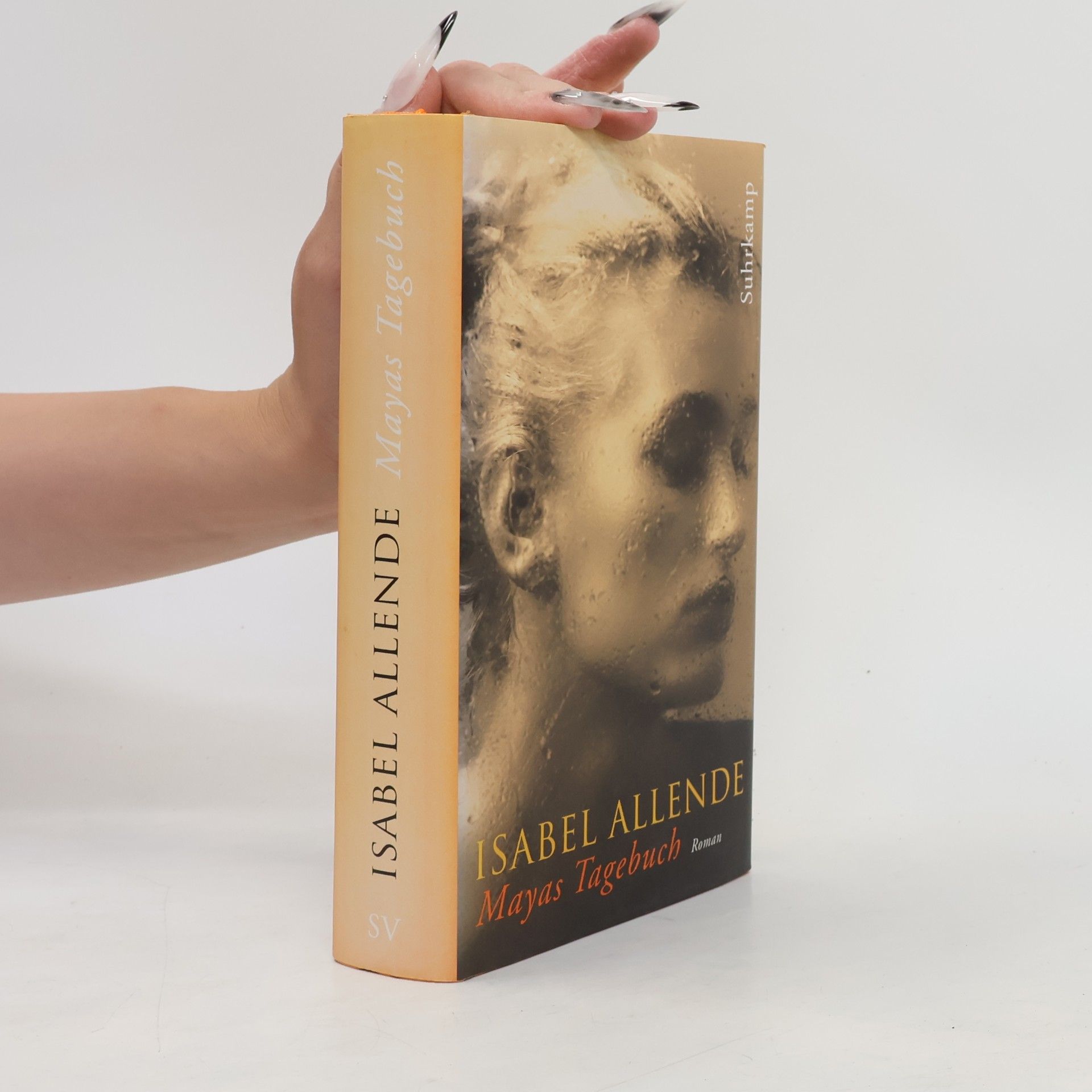 Isabel Allende Mayas Tagebuch. Roman