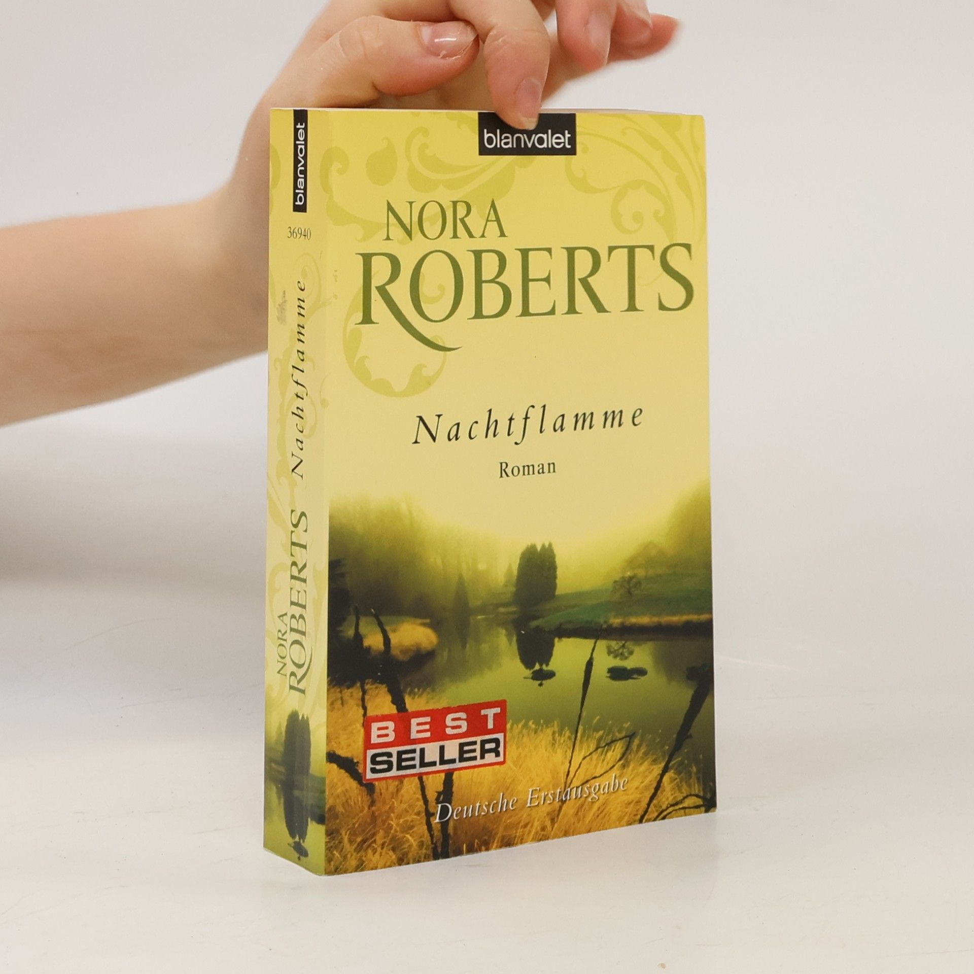 Nora Roberts Nachtflamme
