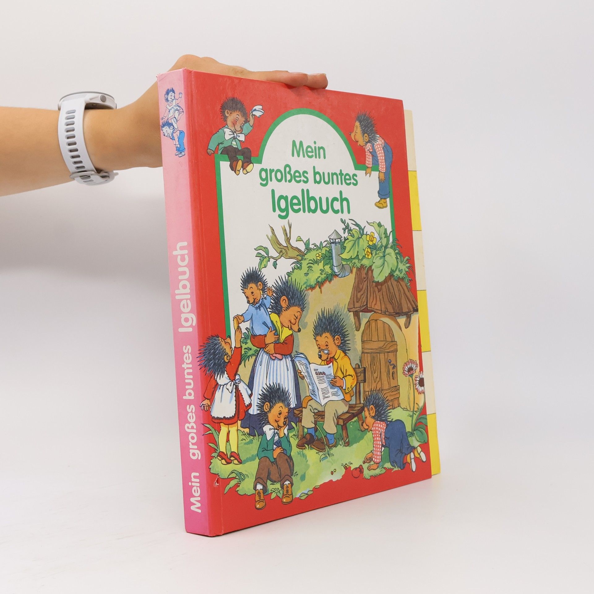 Autorenkollektiv Mein grosses buntes Igelbuch
