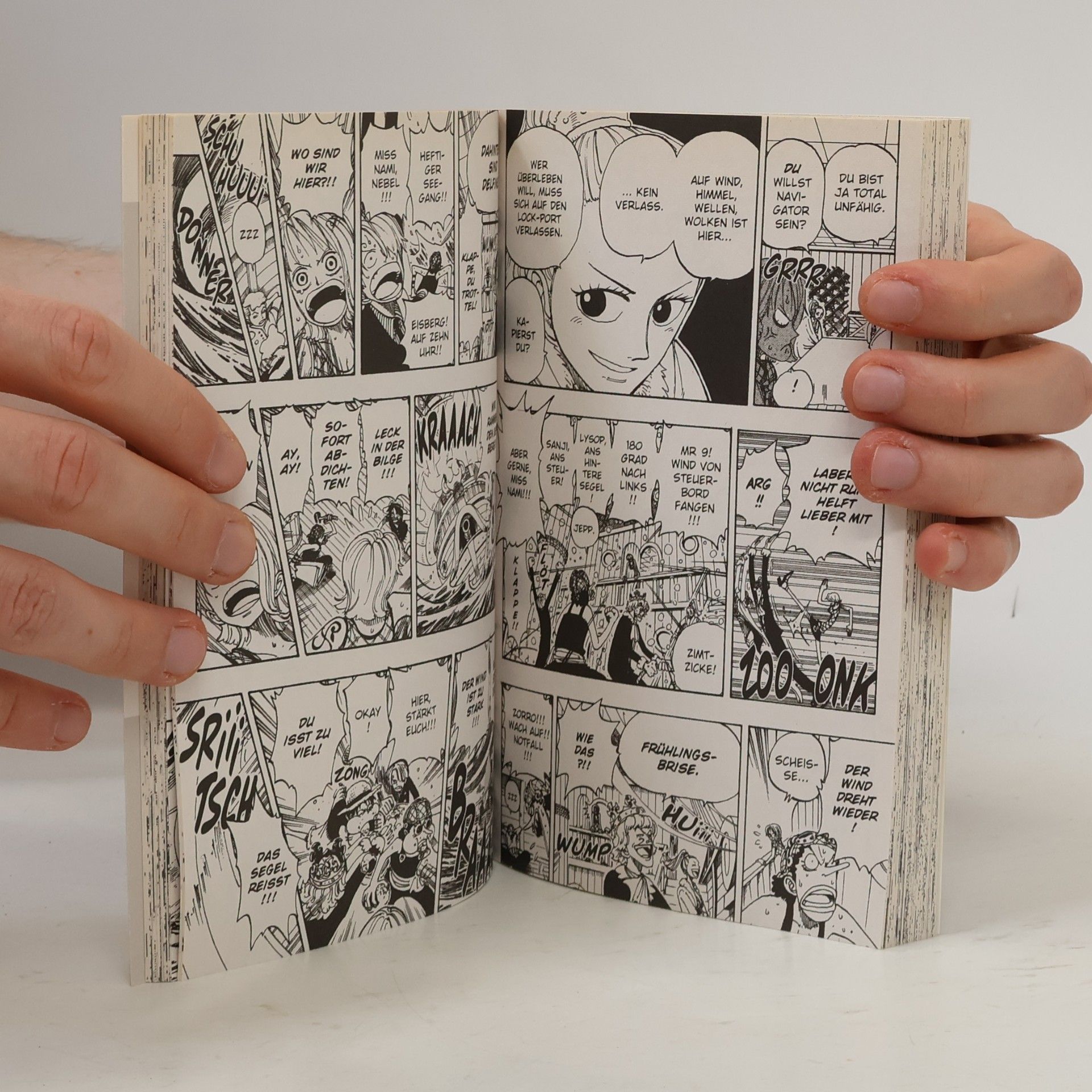 Eiichiro Oda One piece 12