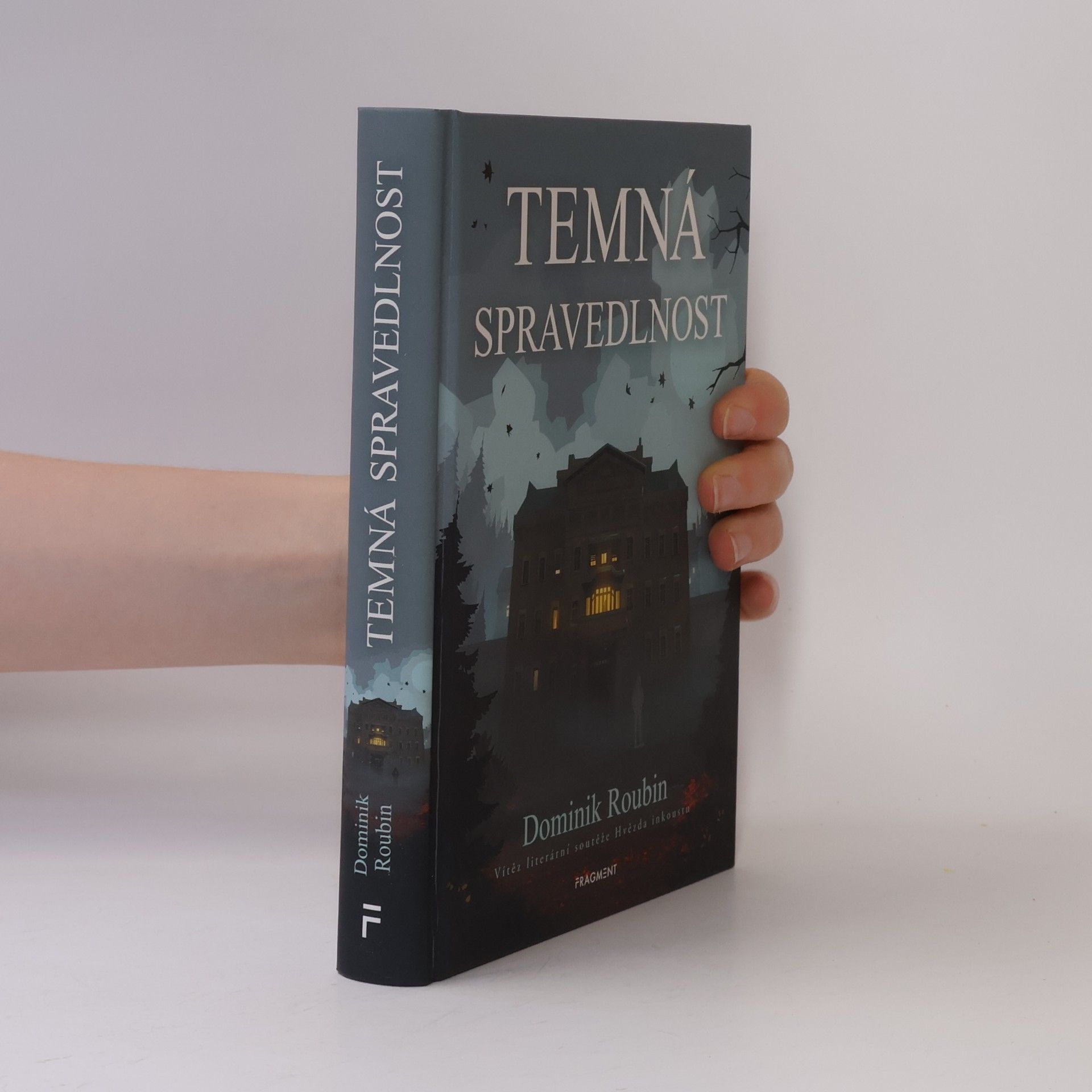 Dominik Roubin Temná spravedlnost