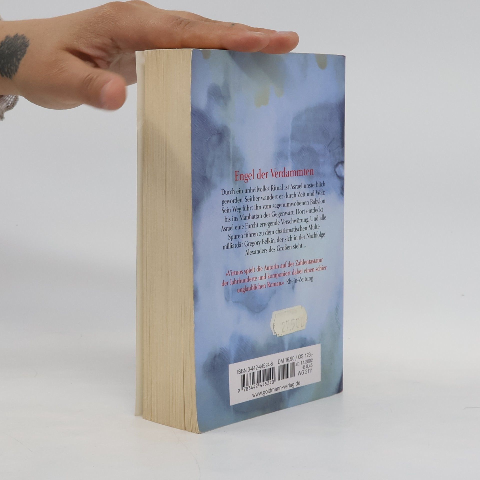 Anne Rice Engel der Verdammten