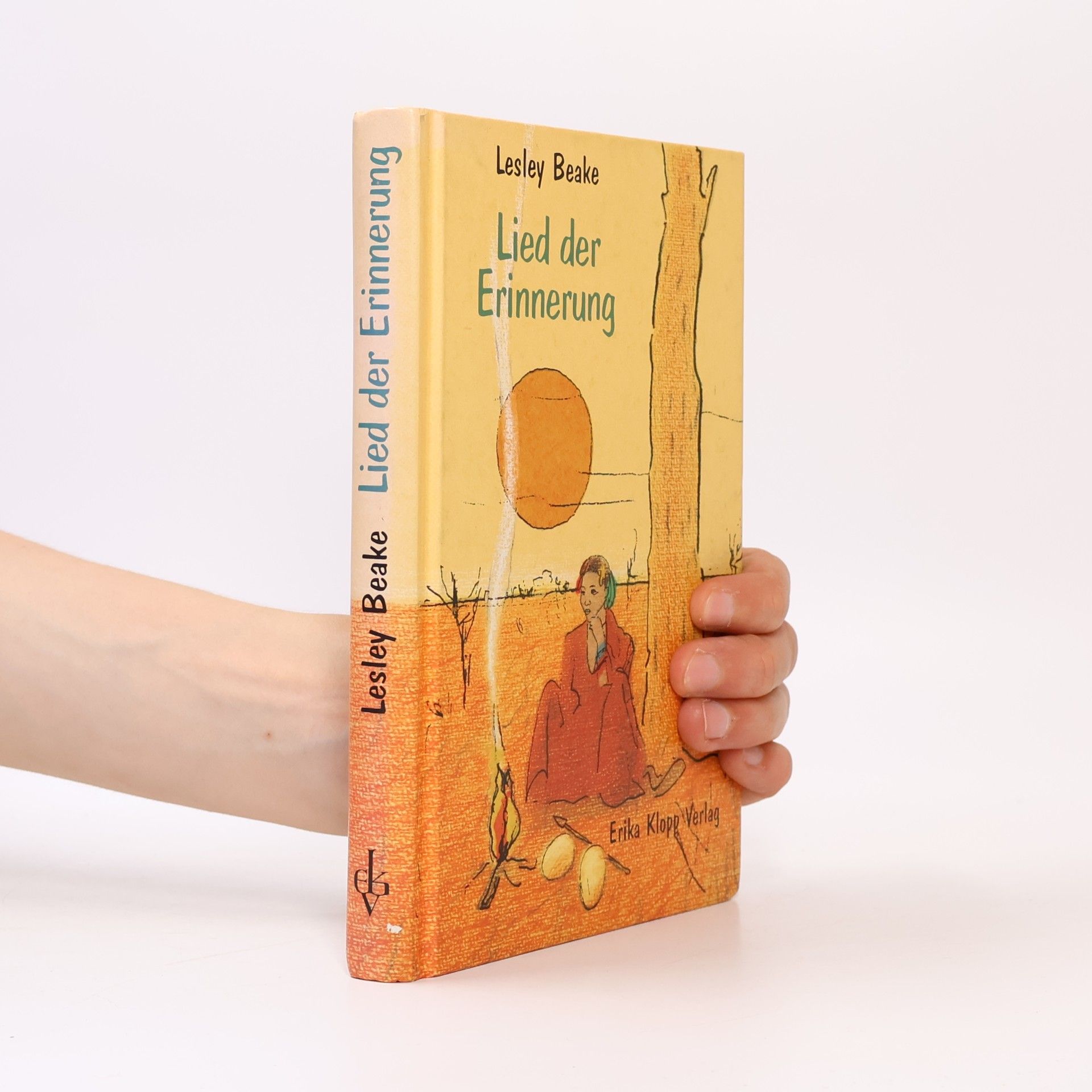 Lesley Beake Lied der Erinnerung