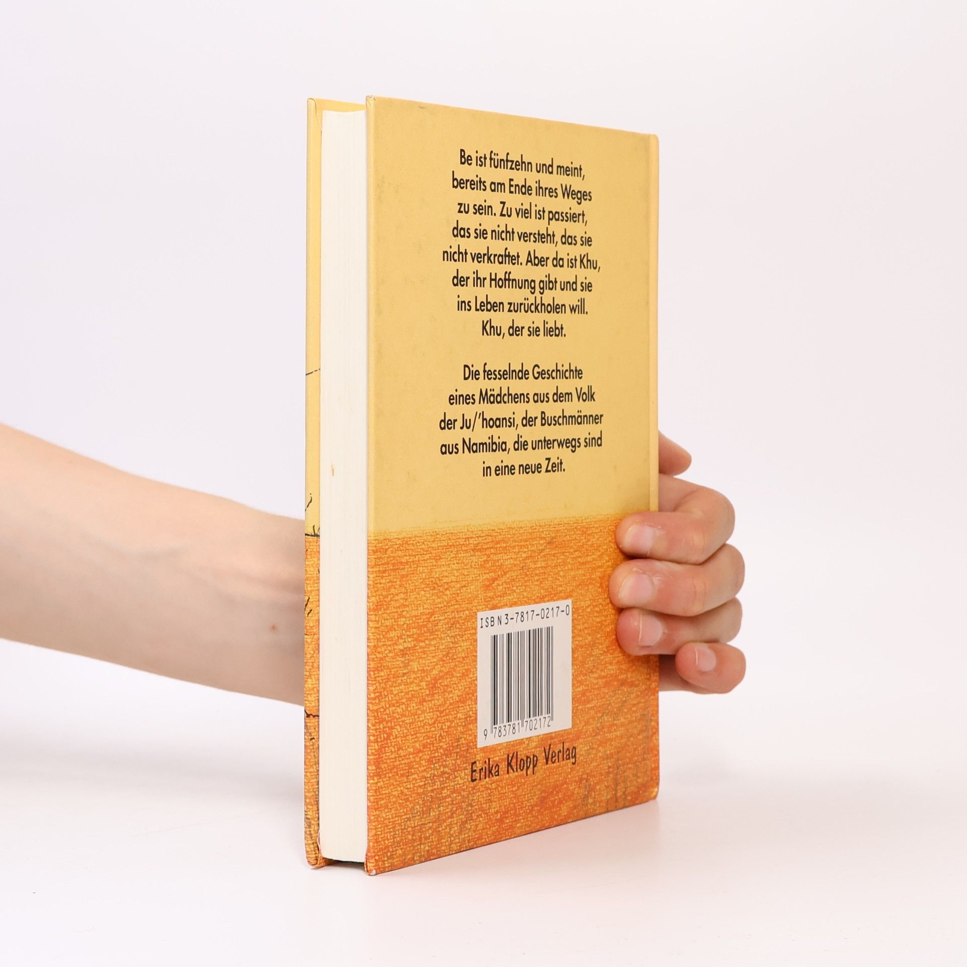 Lesley Beake Lied der Erinnerung