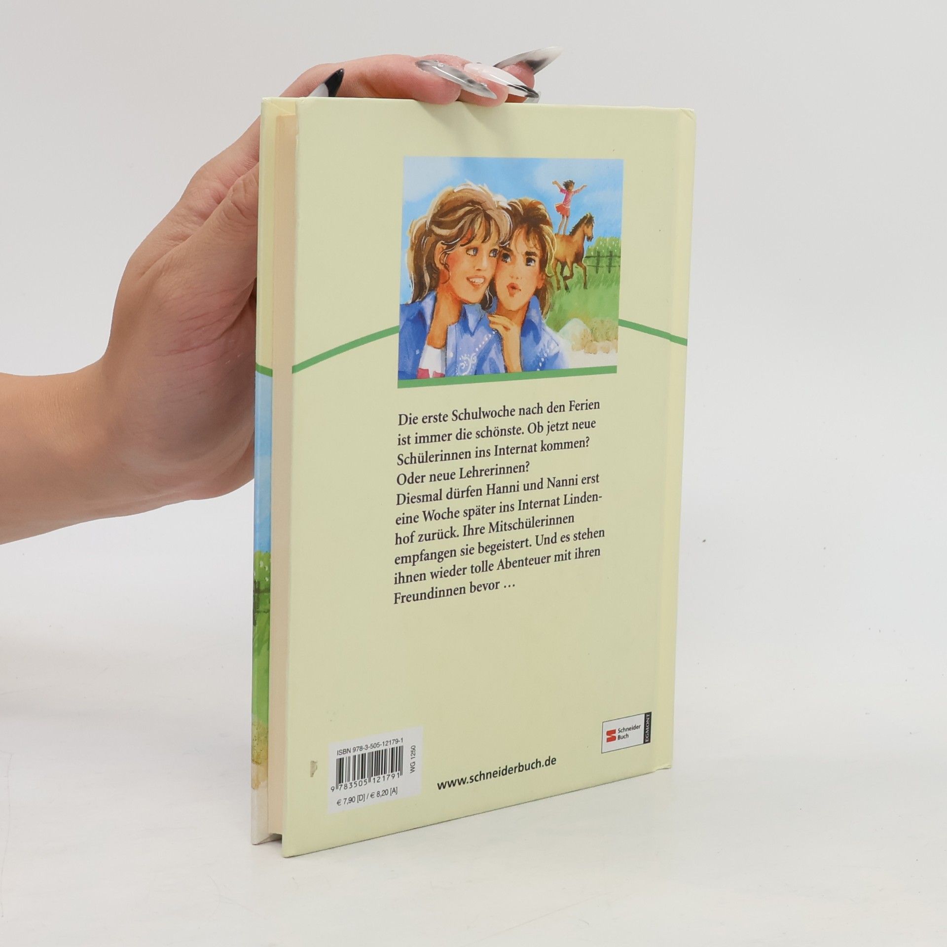 Enid Blyton Hanni und Nanni in neuen Abenteuern