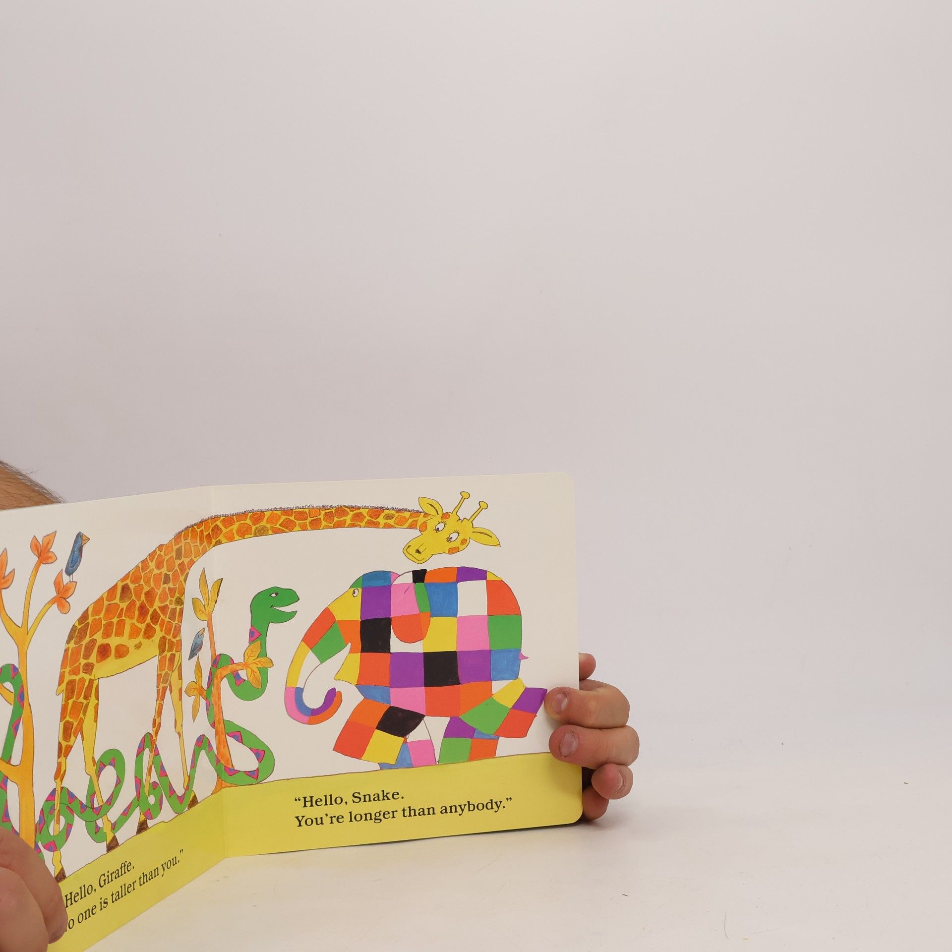 David McKee Elmer's Friends Board Book