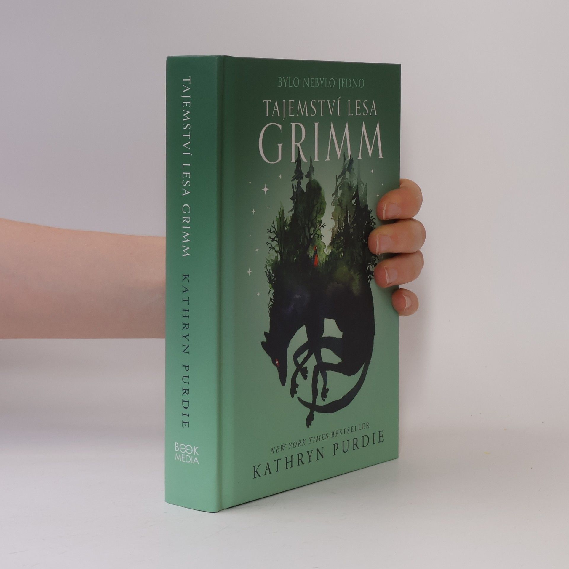 Kathryn Purdie Tajemství lesa Grimm