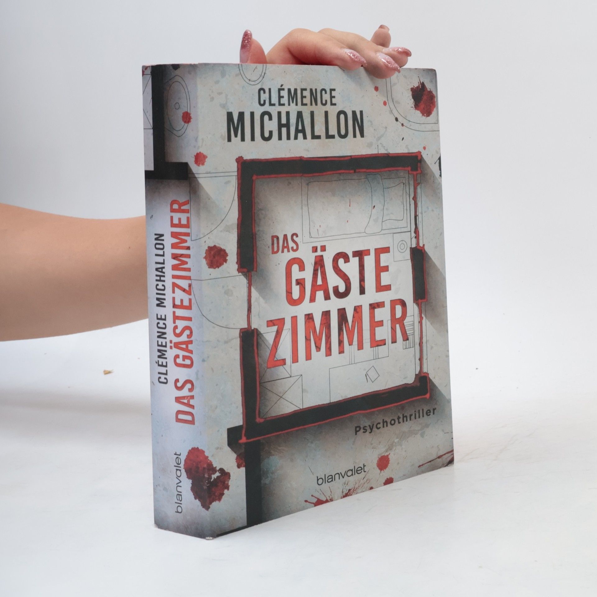 Clémence Michallon Das Gästezimmer