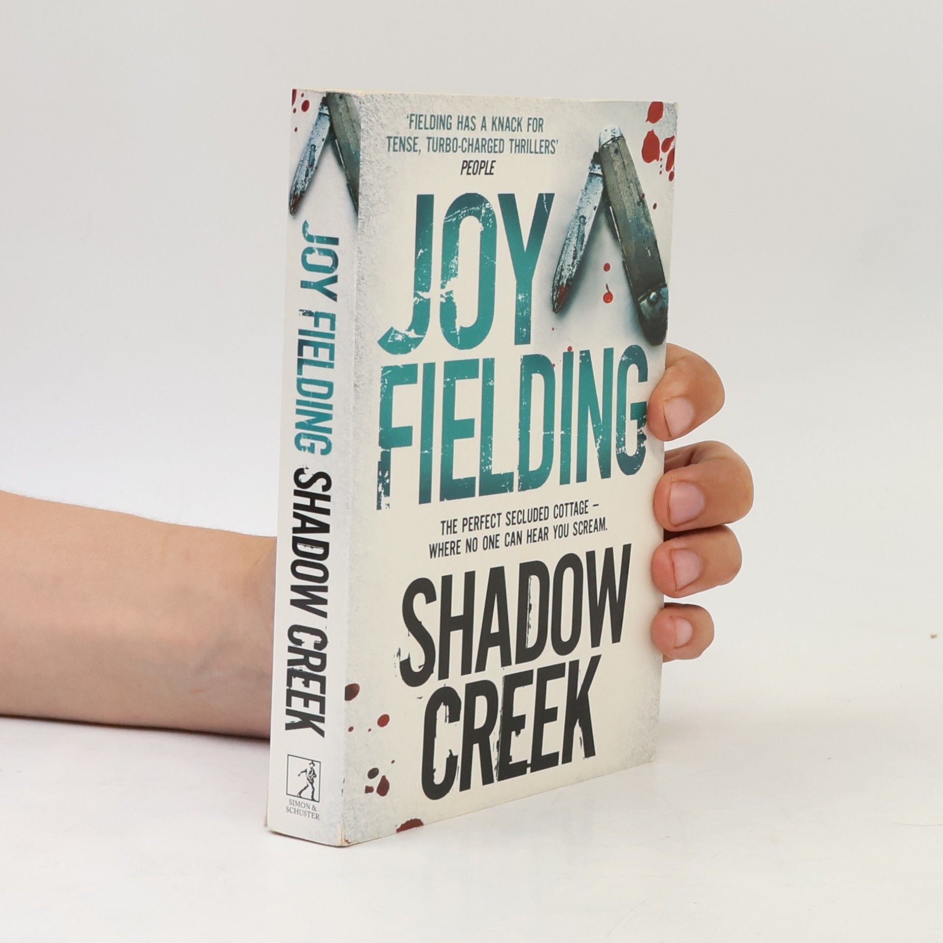 Joy Fielding Shadow Creek