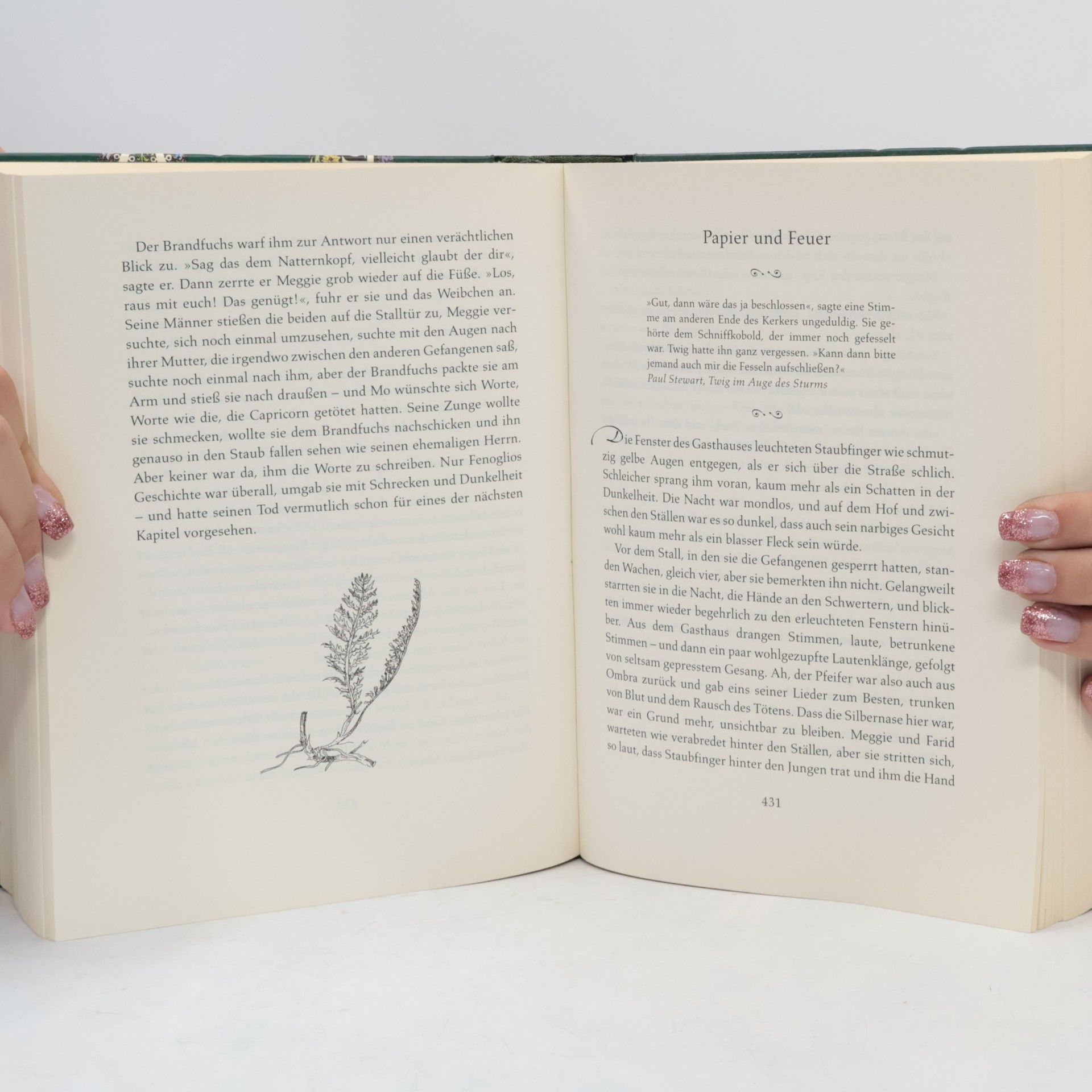 Cornelia Funke Tintenblut