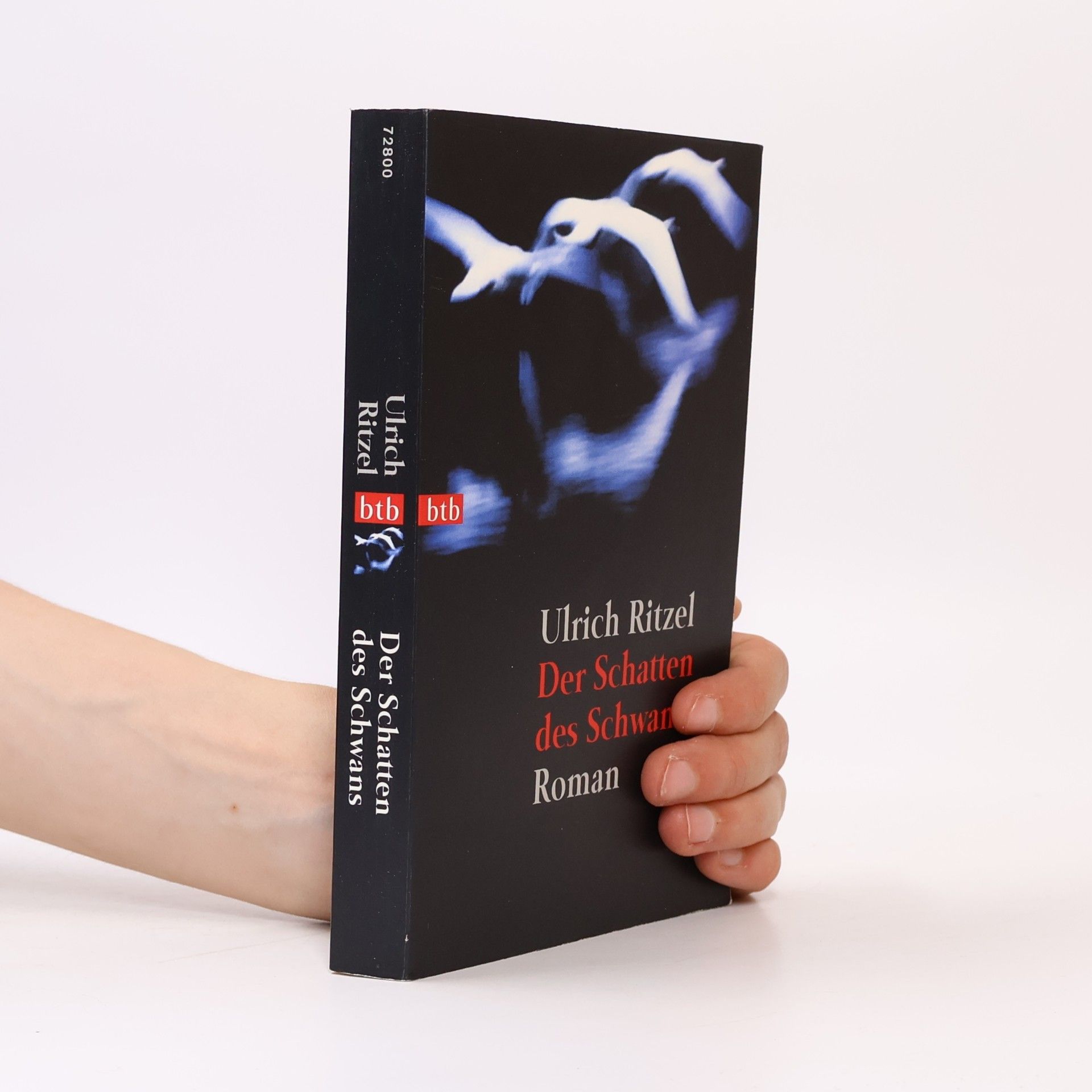 Ulrich Ritzel Der Schatten des Schwans