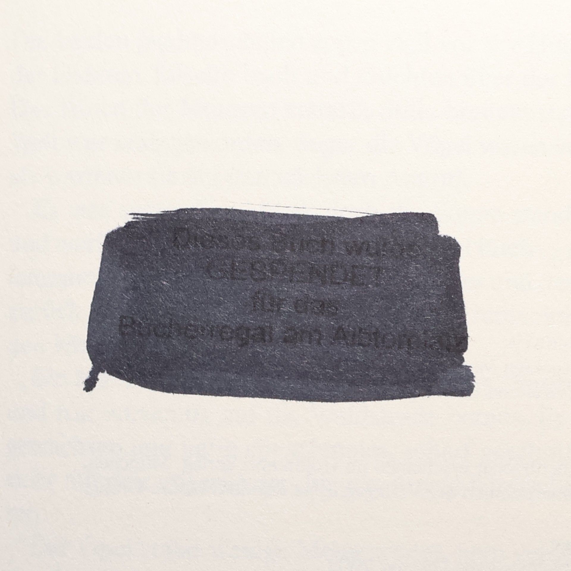 Ulrich Ritzel Der Schatten des Schwans