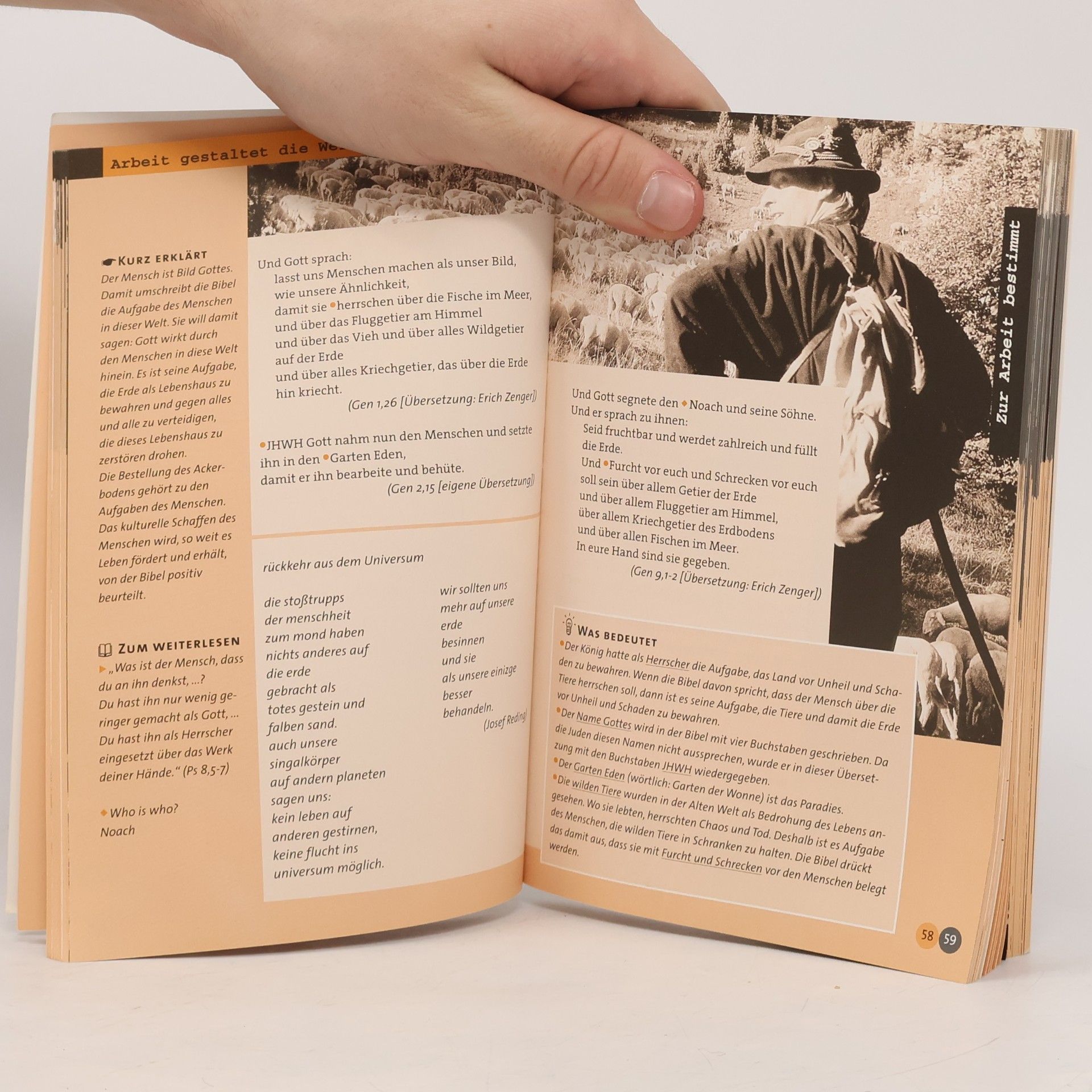 Rainer Dillmann Die neue Jugendbibel