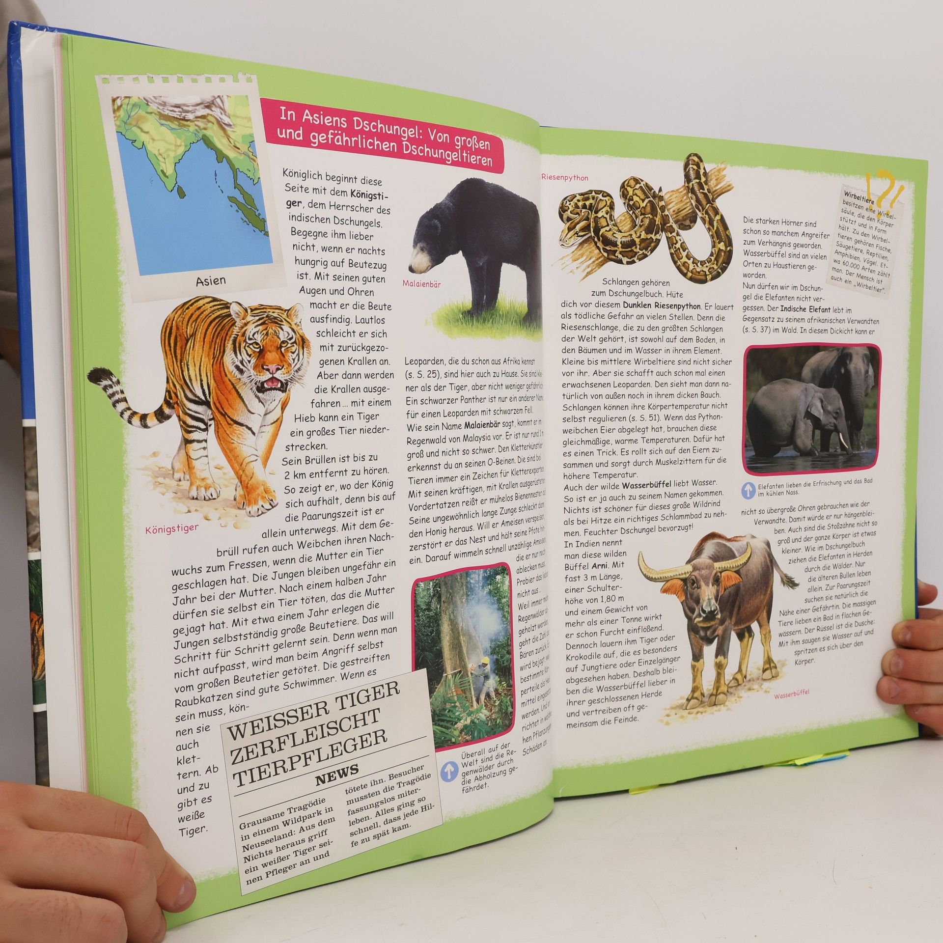 Collectif d'auteurs Tieralas für Kinder
