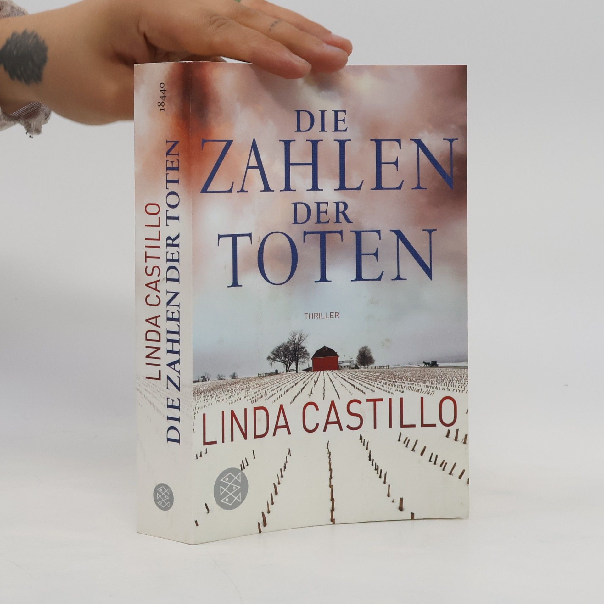 Linda Castillo Die Zahlen der Toten