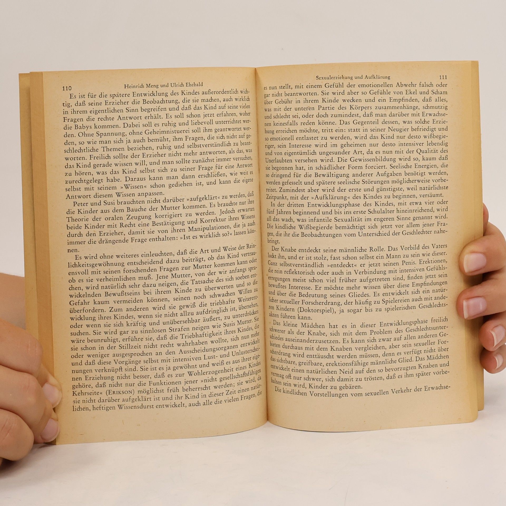 Heinrich Meng Psychoanalyse und Alltag
