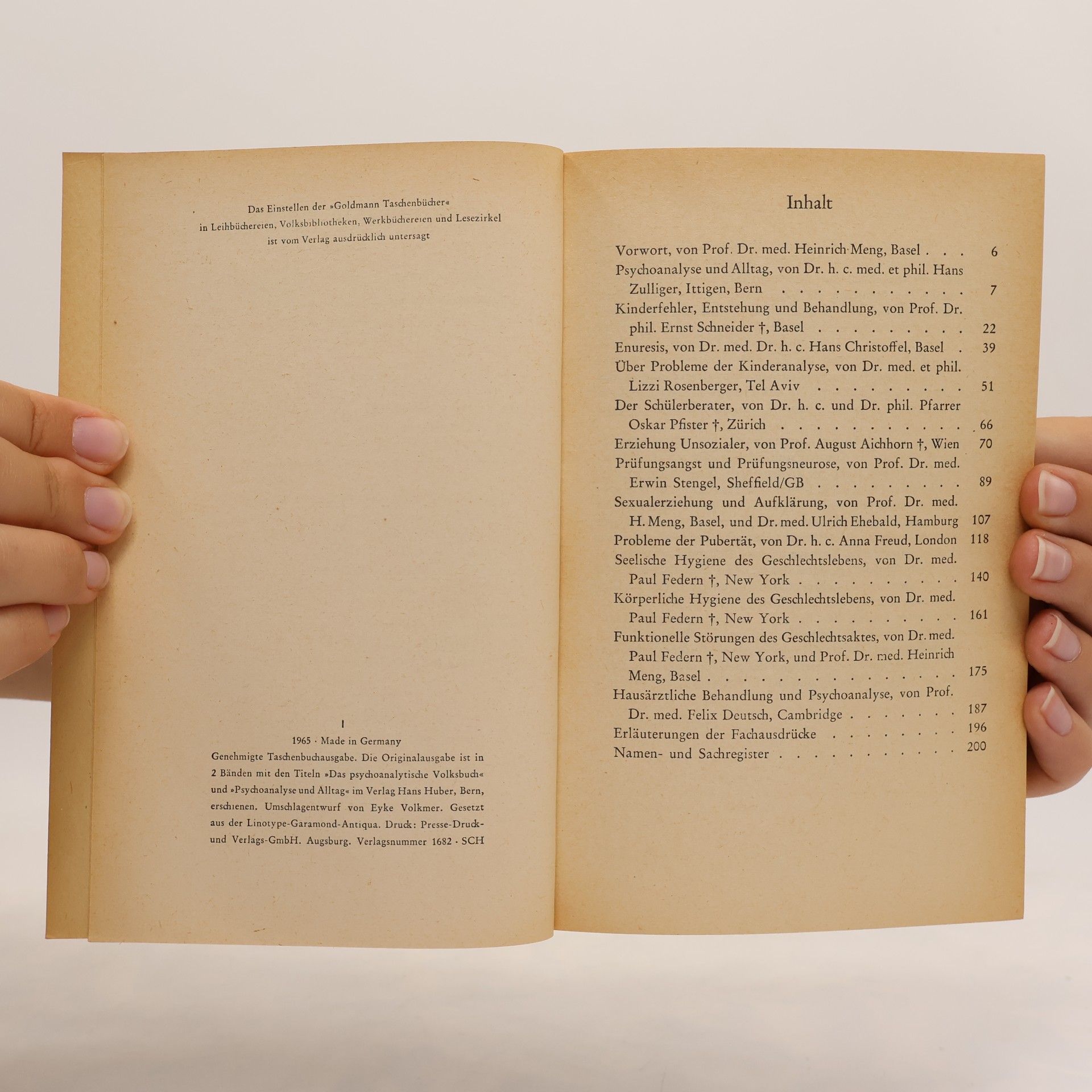Heinrich Meng Psychoanalyse und Alltag