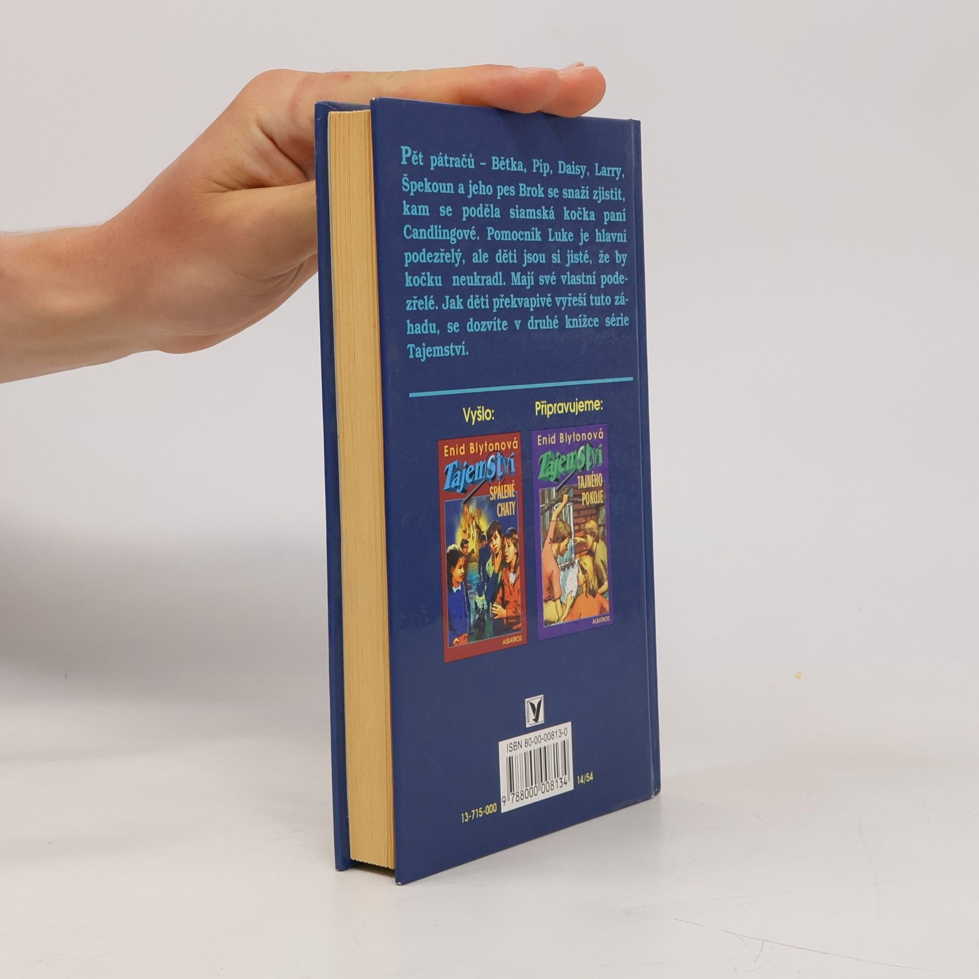 Enid Blyton Tajemství ztracené kočky