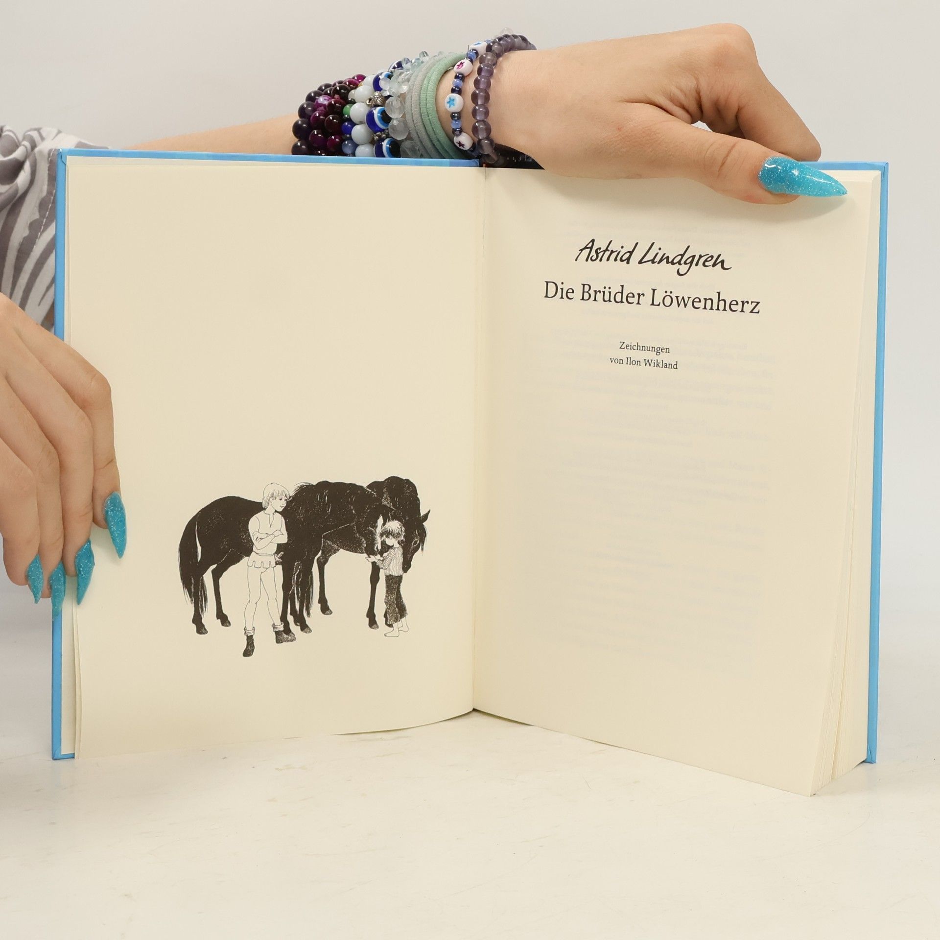 Astrid Lindgren Die Brüder Löwenherz
