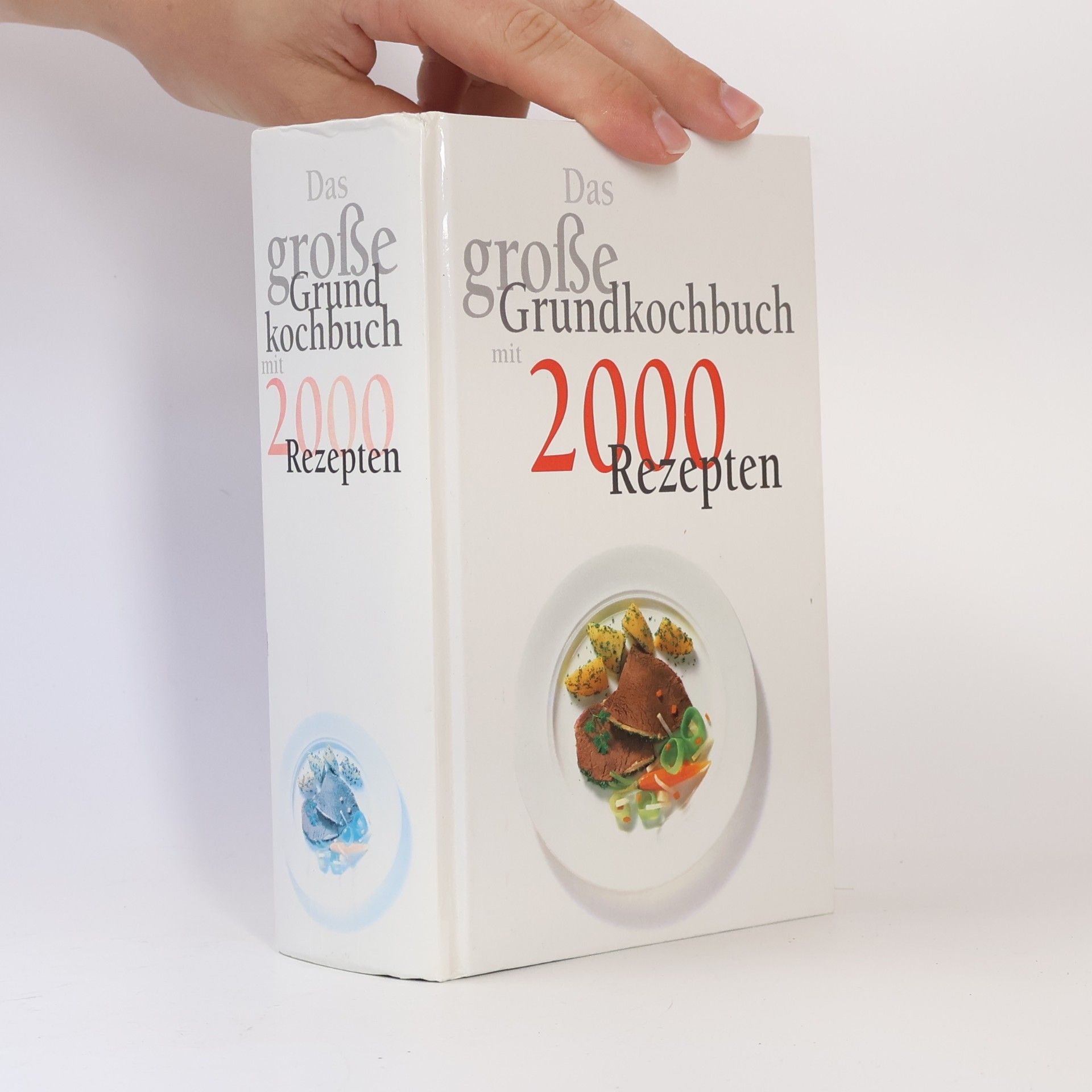 Autorenkollektiv Das große Grundkochbuch mit 2000 Rezepten