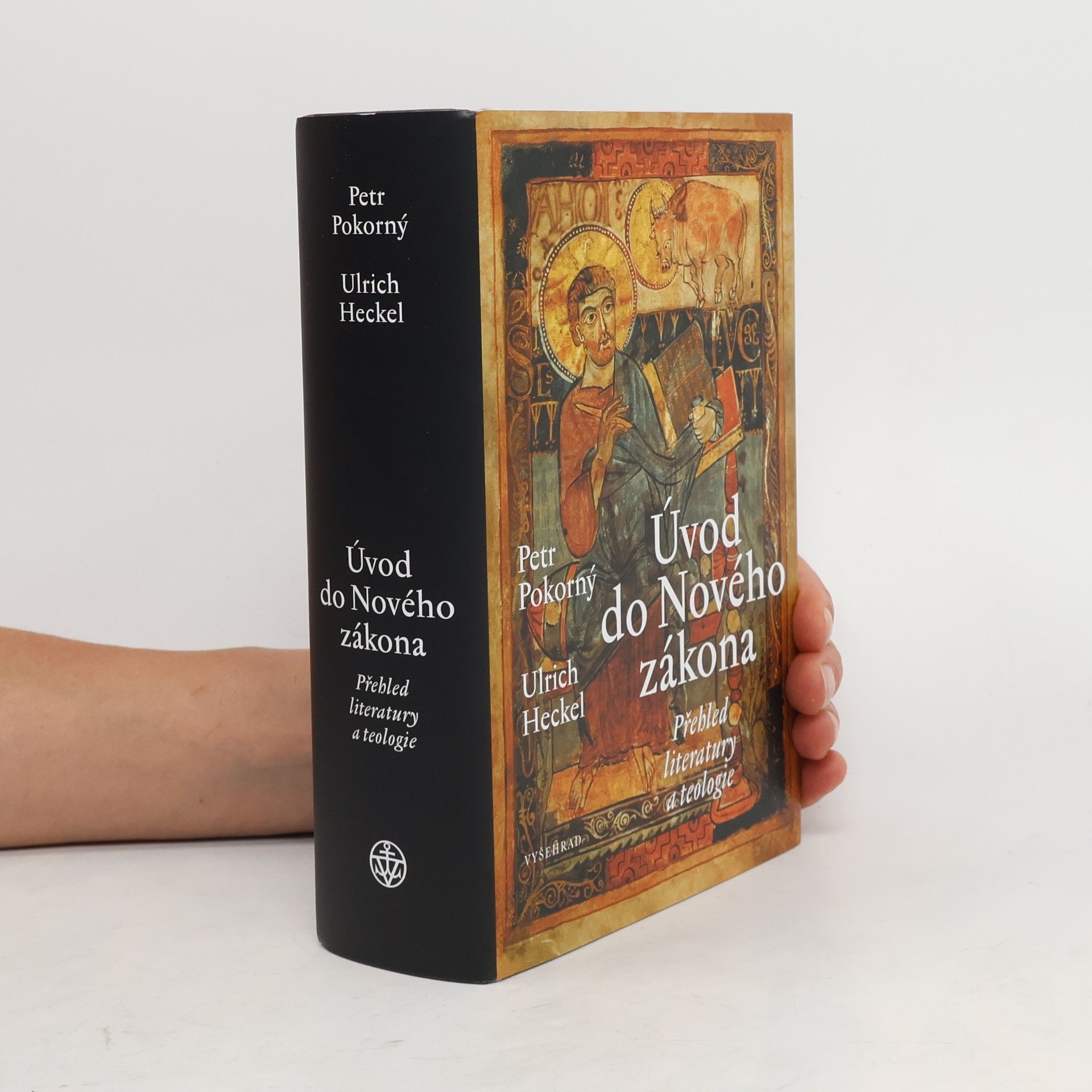 Ulrich Heckel Úvod do Nového zákona : Přehled literatury a teologie