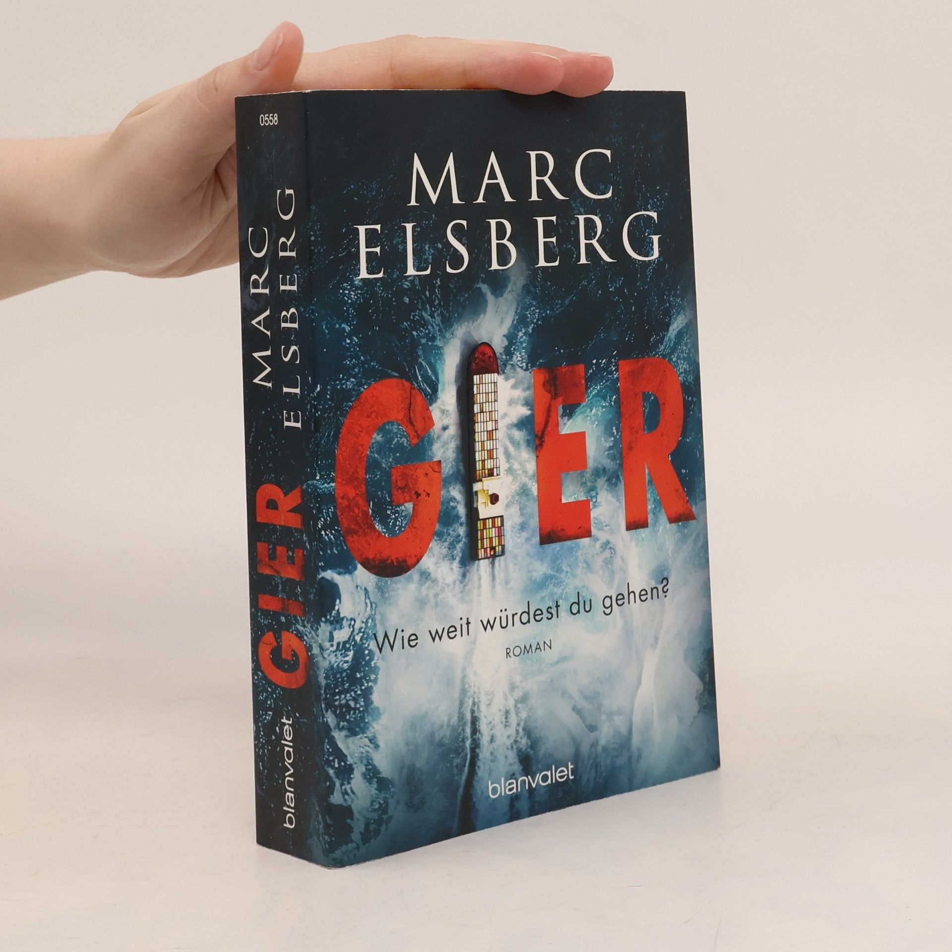 Marc Elsberg Gier