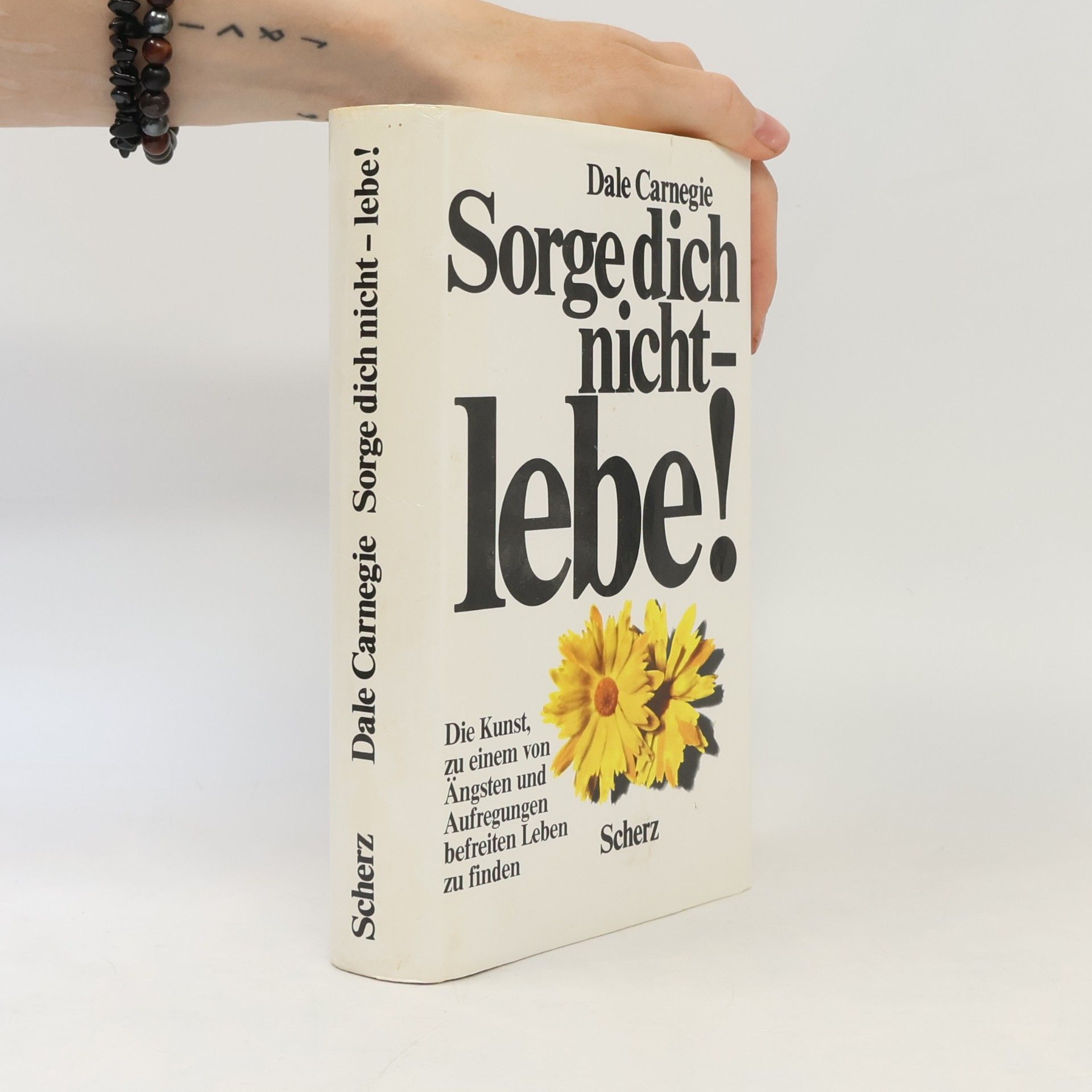 Dale Carnegie Sorge dich nicht - lebe!