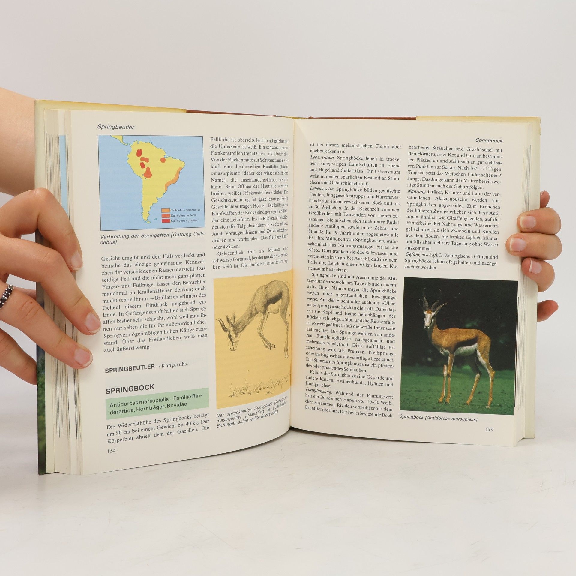 Autorenkollektiv Das moderne Tierlexikon 10. Seeh-Tam