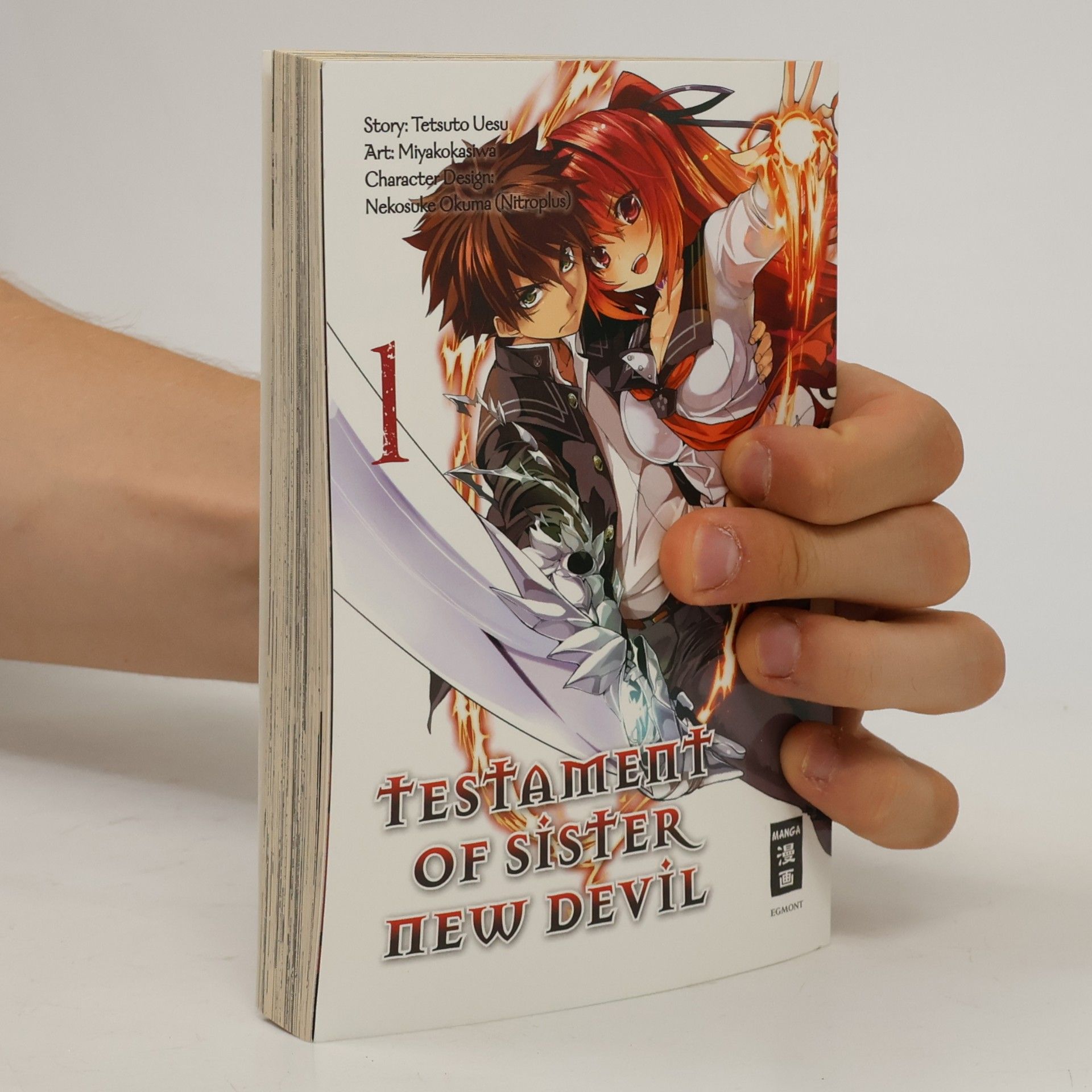 Nekosuke Okuma Testament of Sister New Devil. Bd.1