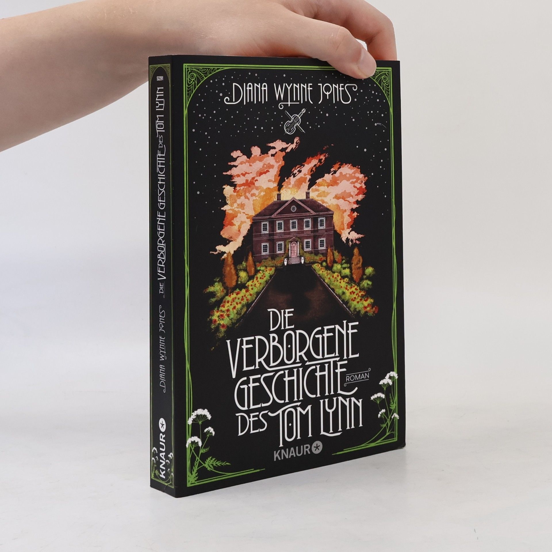 Diana Wynne Jones Die verborgene Geschichte des Tom Lynn