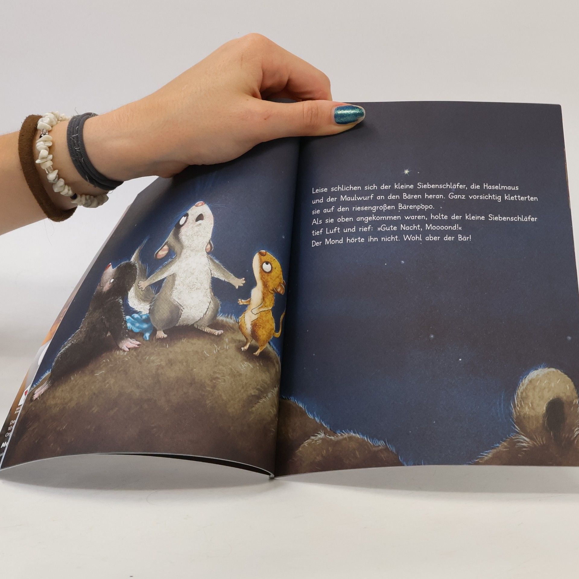 Sabine Bohlmann Happy Meal. Die Geschichte vom kleinen Siebenschläfer, der dem Mond Gute Nacht sagen wollte