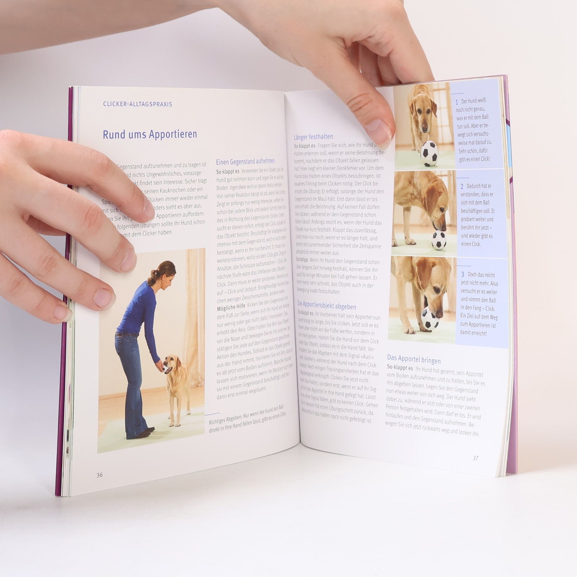 Katharina Schleg Kofler Hunde-Clickertraining