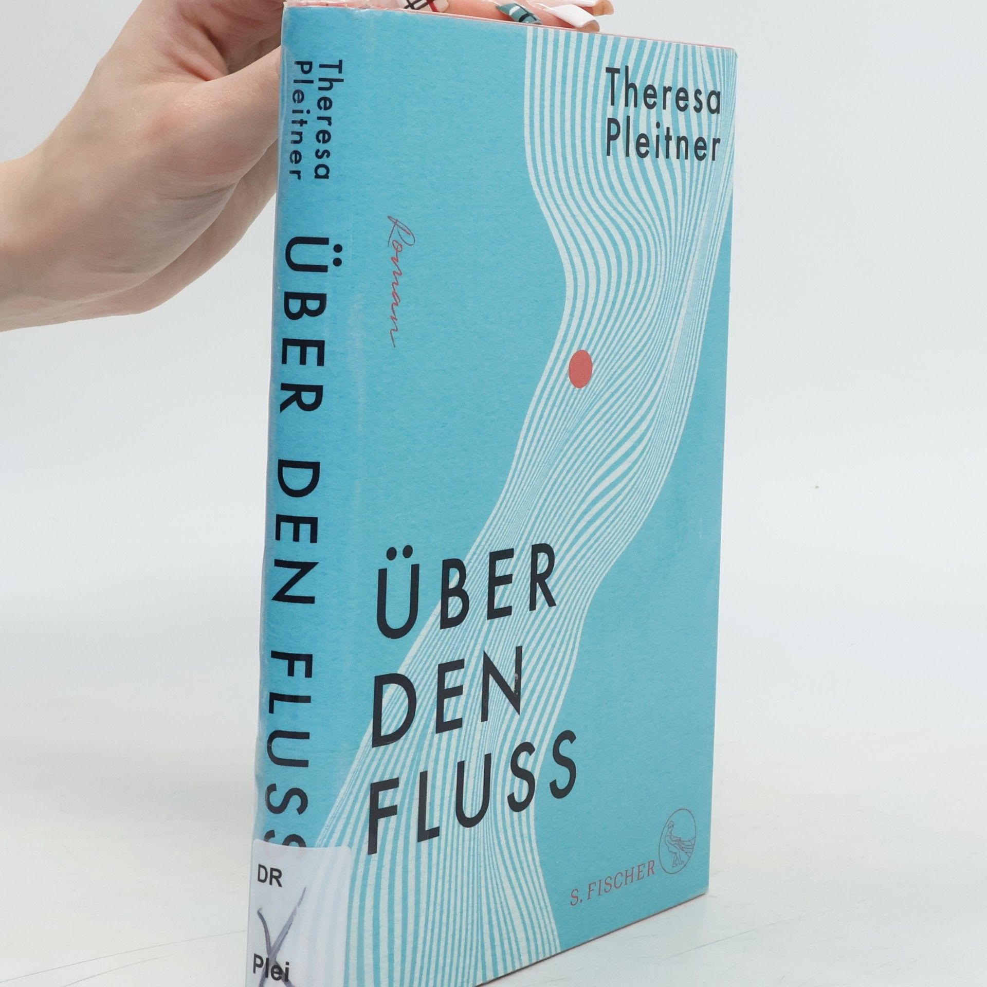 Theresa Pleitner Über den Fluss