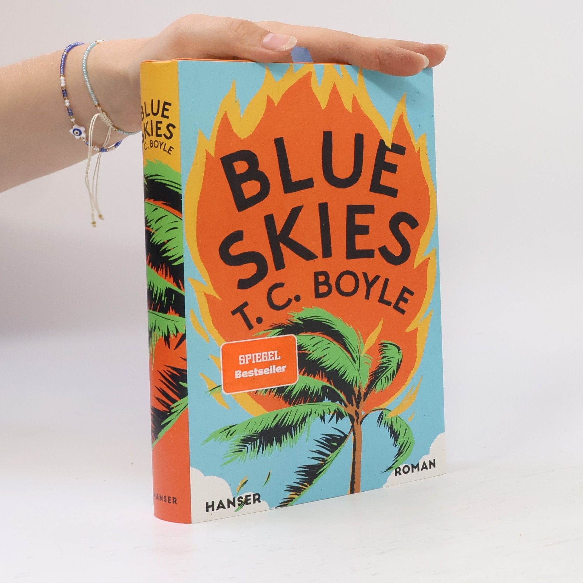 Tom Coraghessan Boyle Blue Skies
