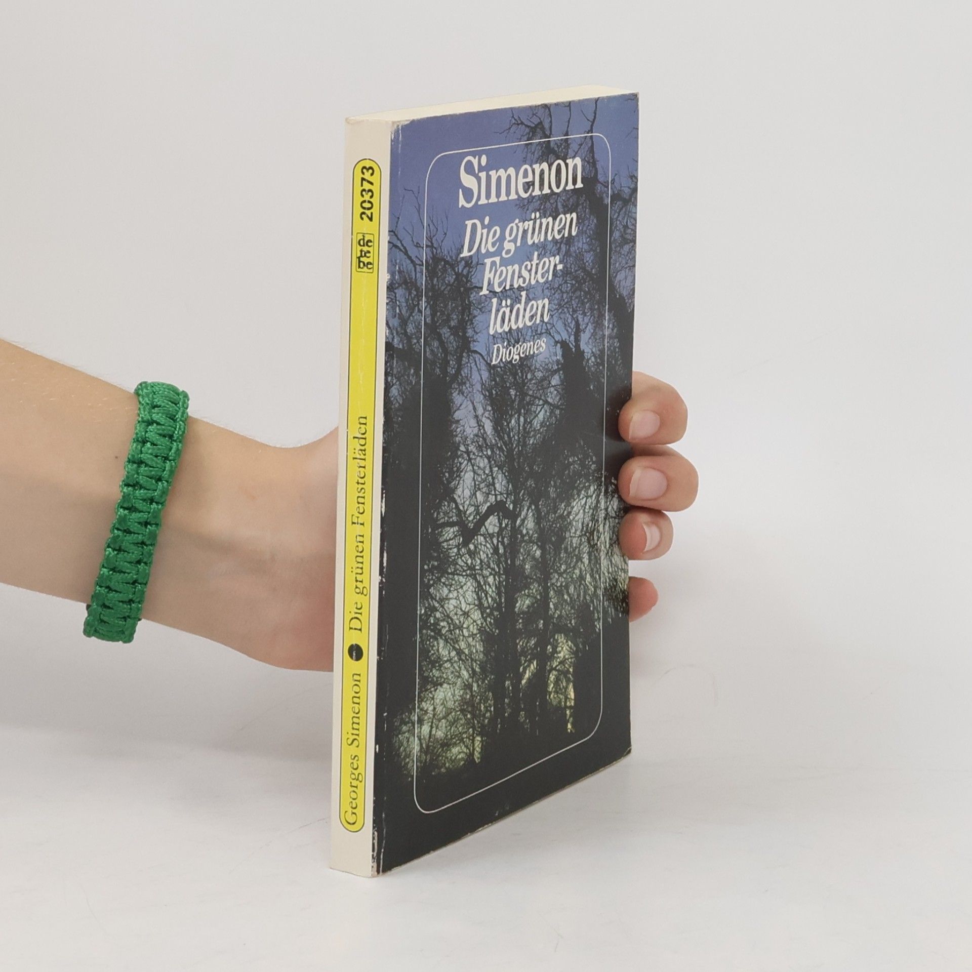 Georges Simenon Die grünen Fensterläden