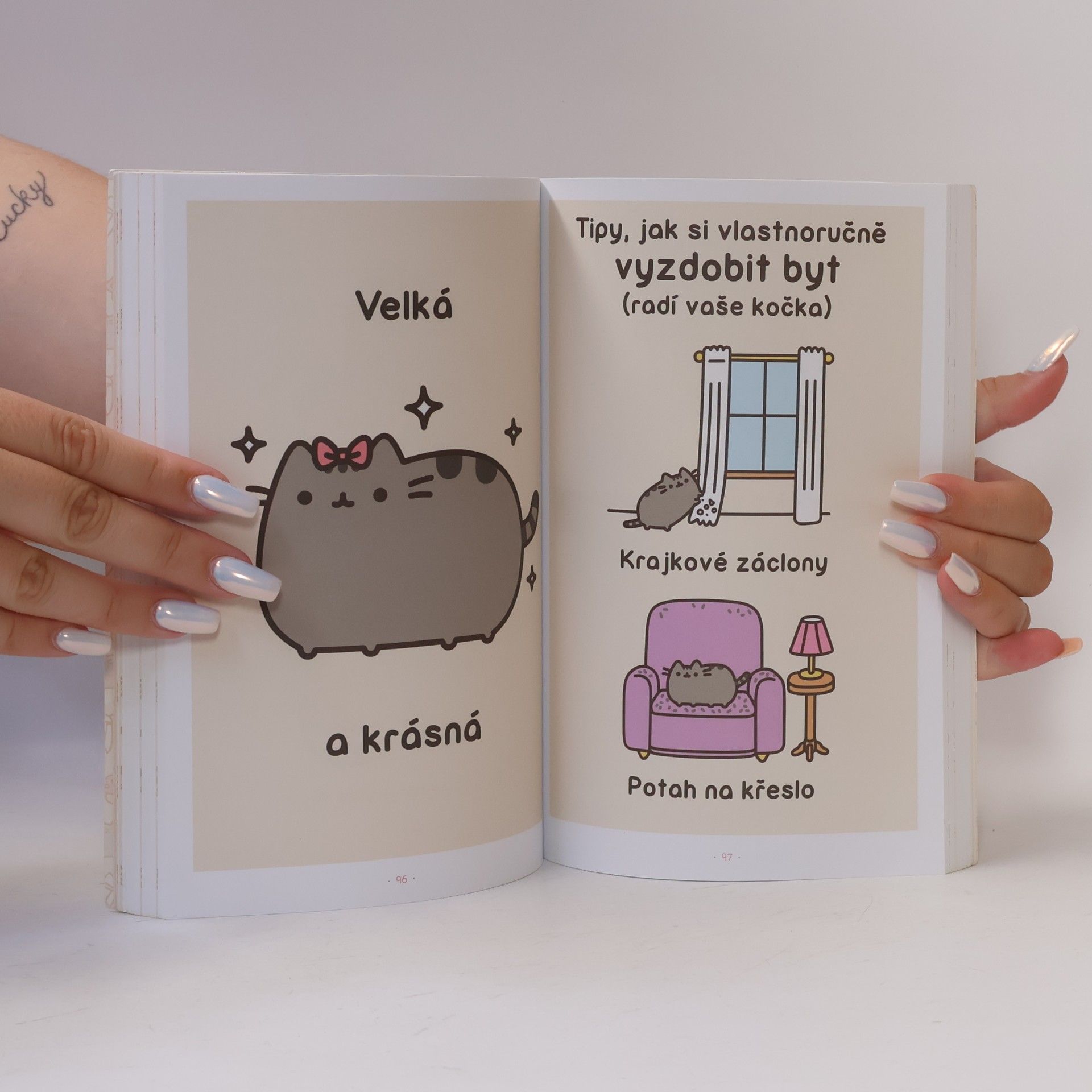 Claire Belton Pusheen. Já, košišta