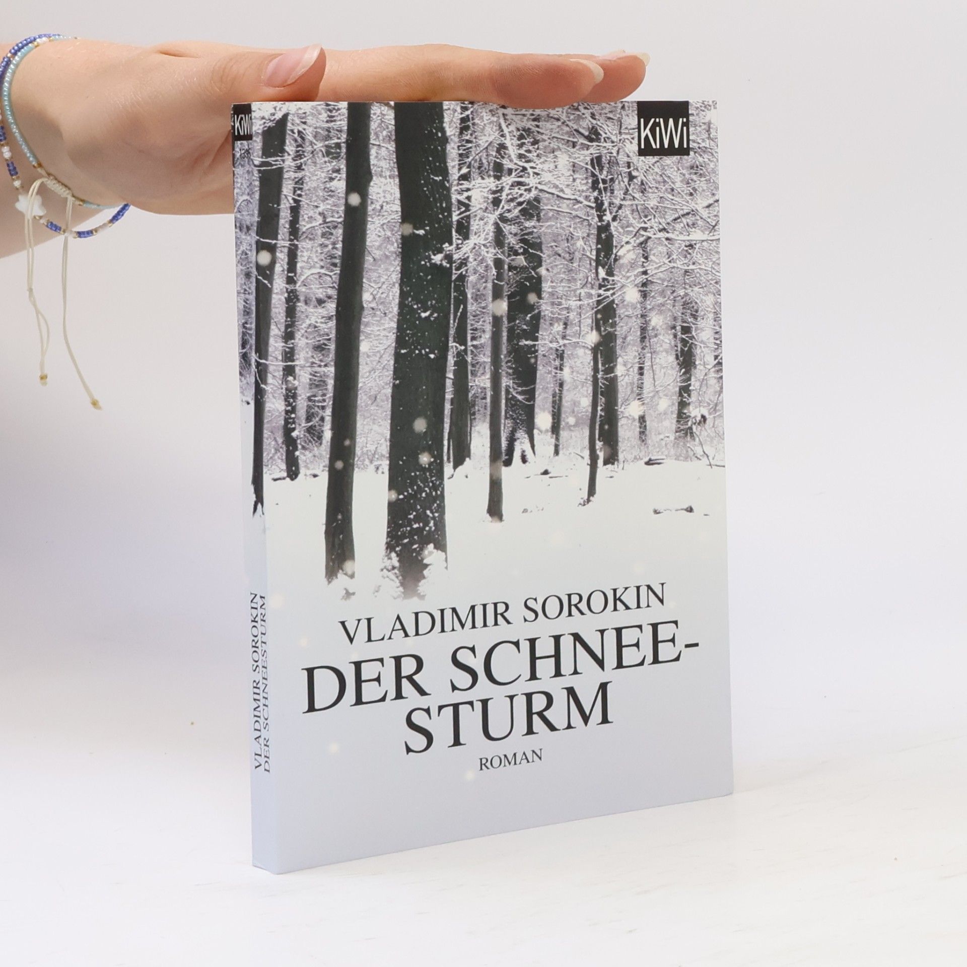 Vladimir Sorokin Der Schneesturm