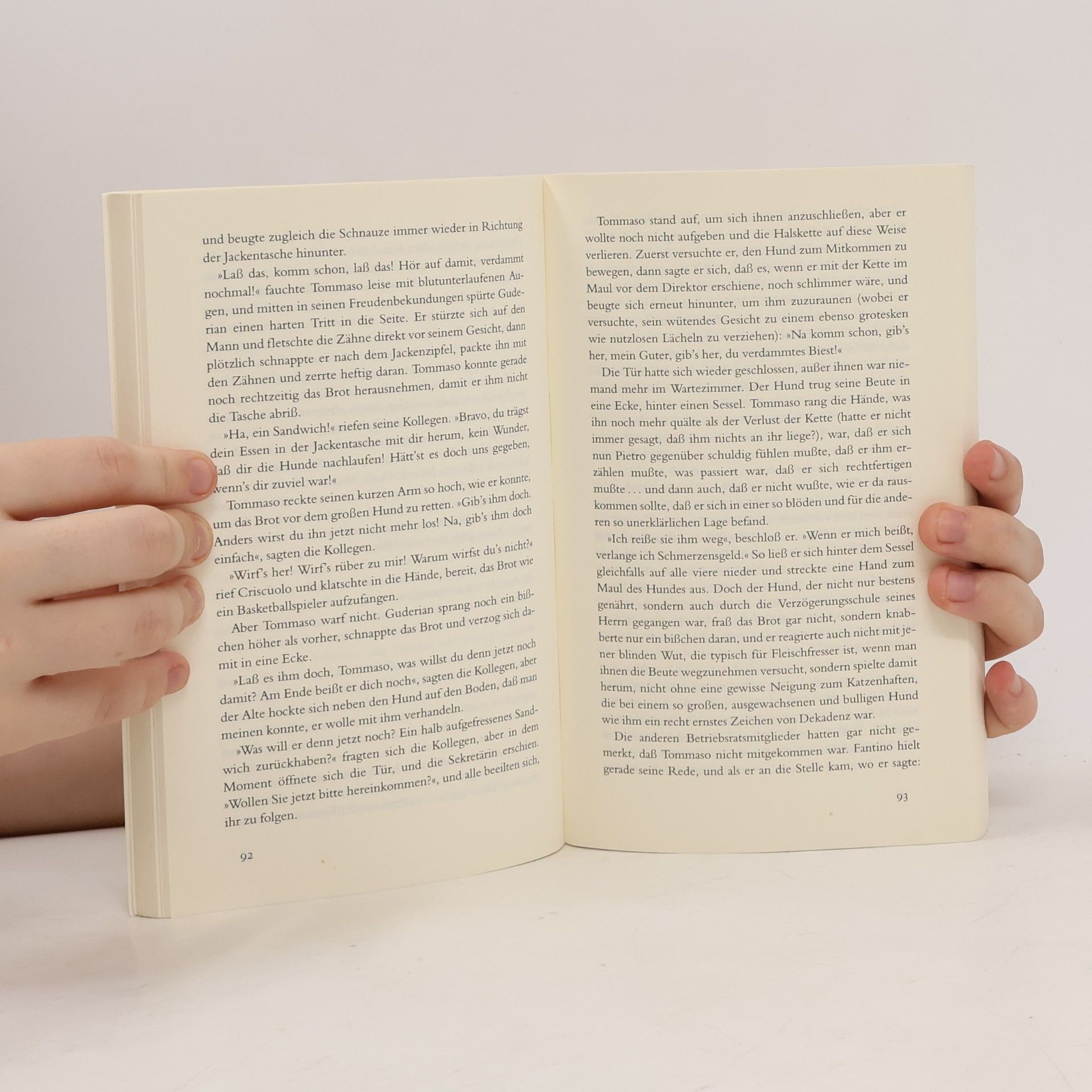 Italo Calvino Ein General in der Bibliothek