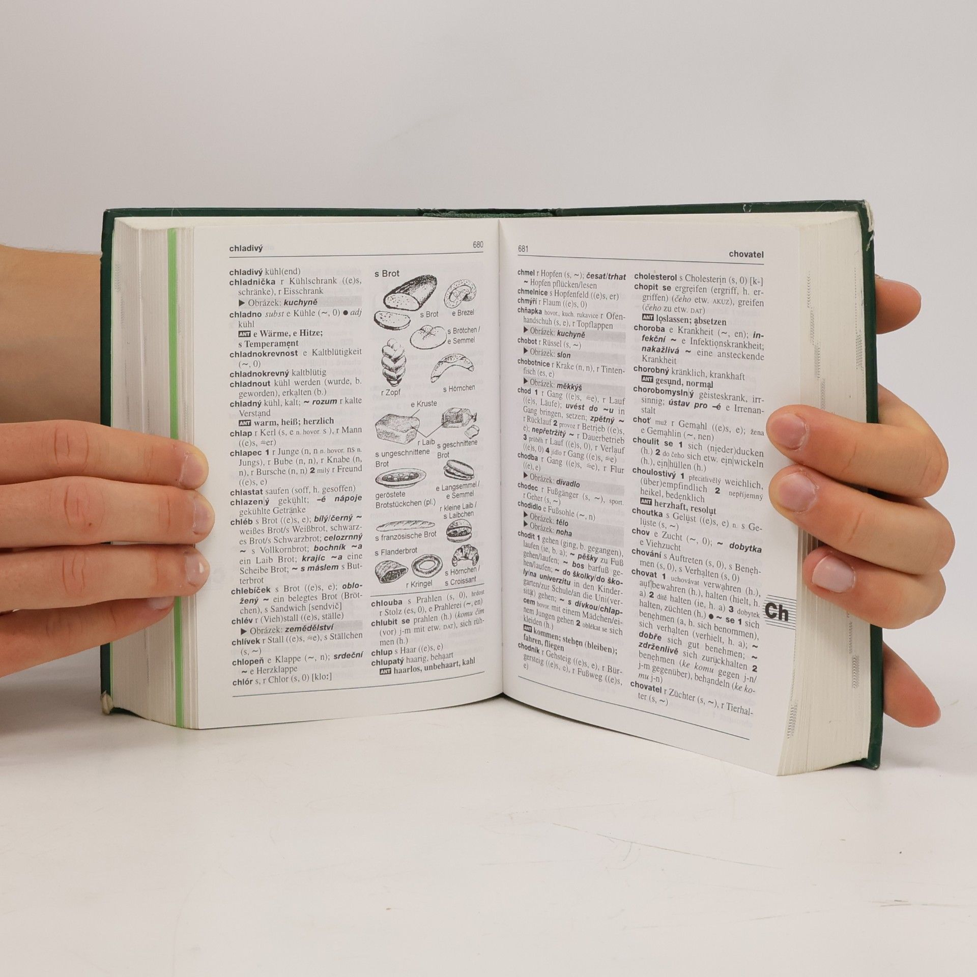 Autorenkollektiv Německo-český, česko-německý studijní slovník