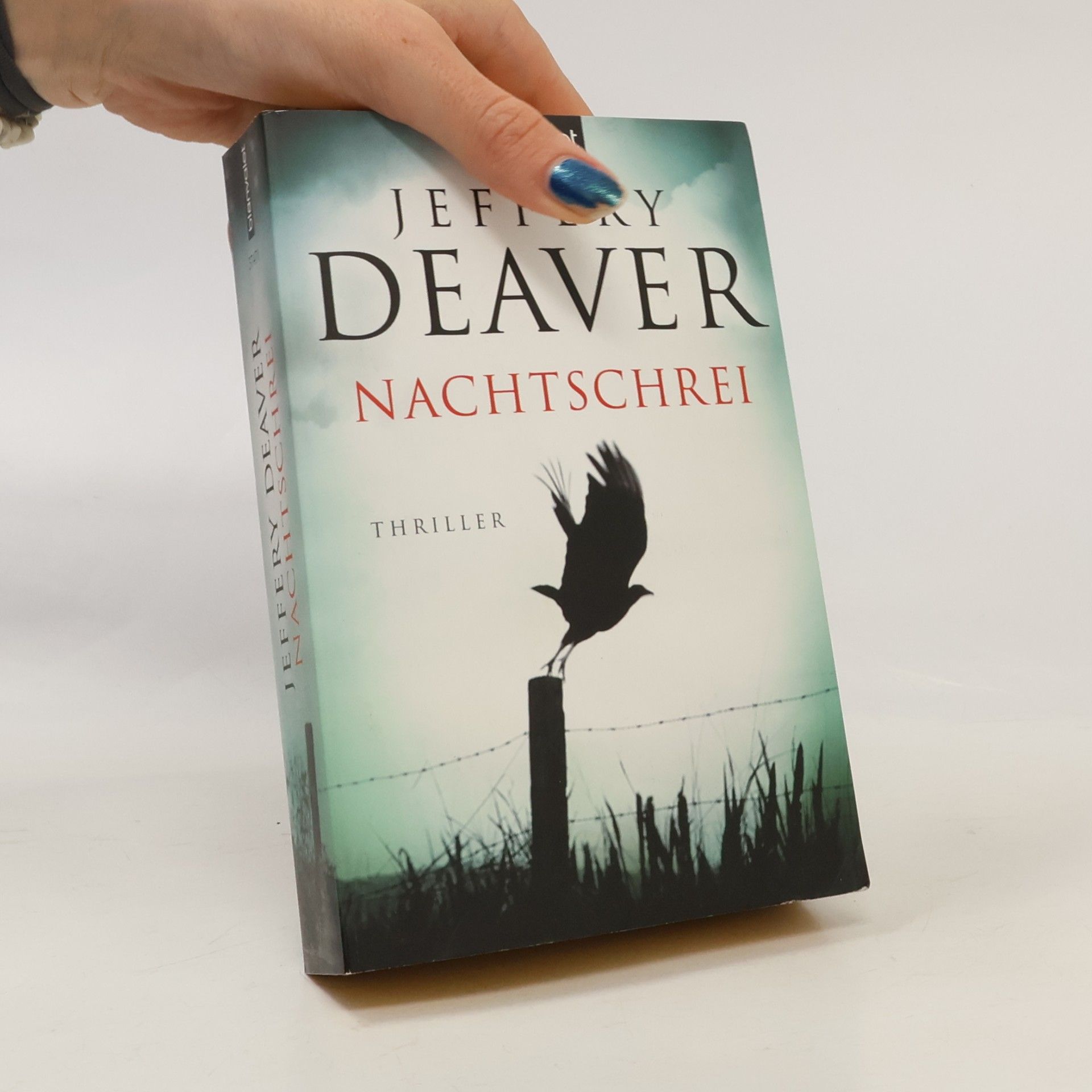Jeffery Deaver Nachtschrei